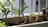 A small balcony garden with a planter containing leafy plants. Several smaller pots with succulents are lined up along the edge. The scene is well-lit with natural sunlight, casting soft shadows and highlighting the green foliage.
