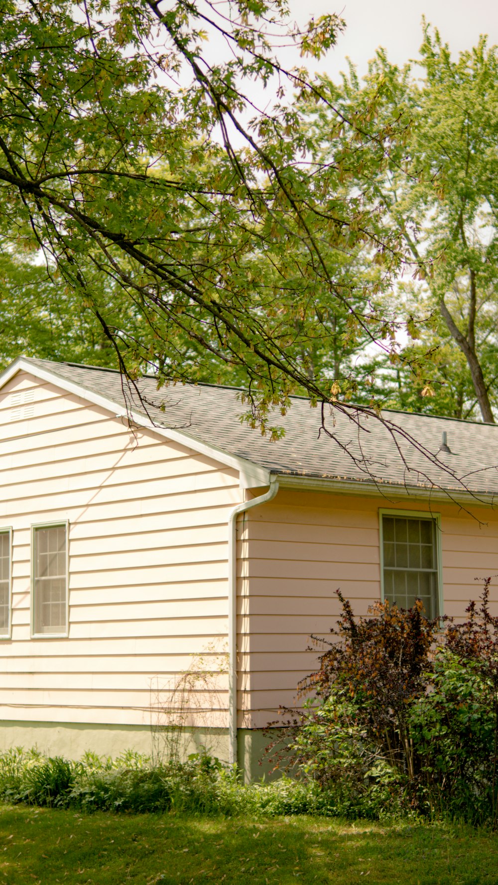 a pink house with a tree in front of it