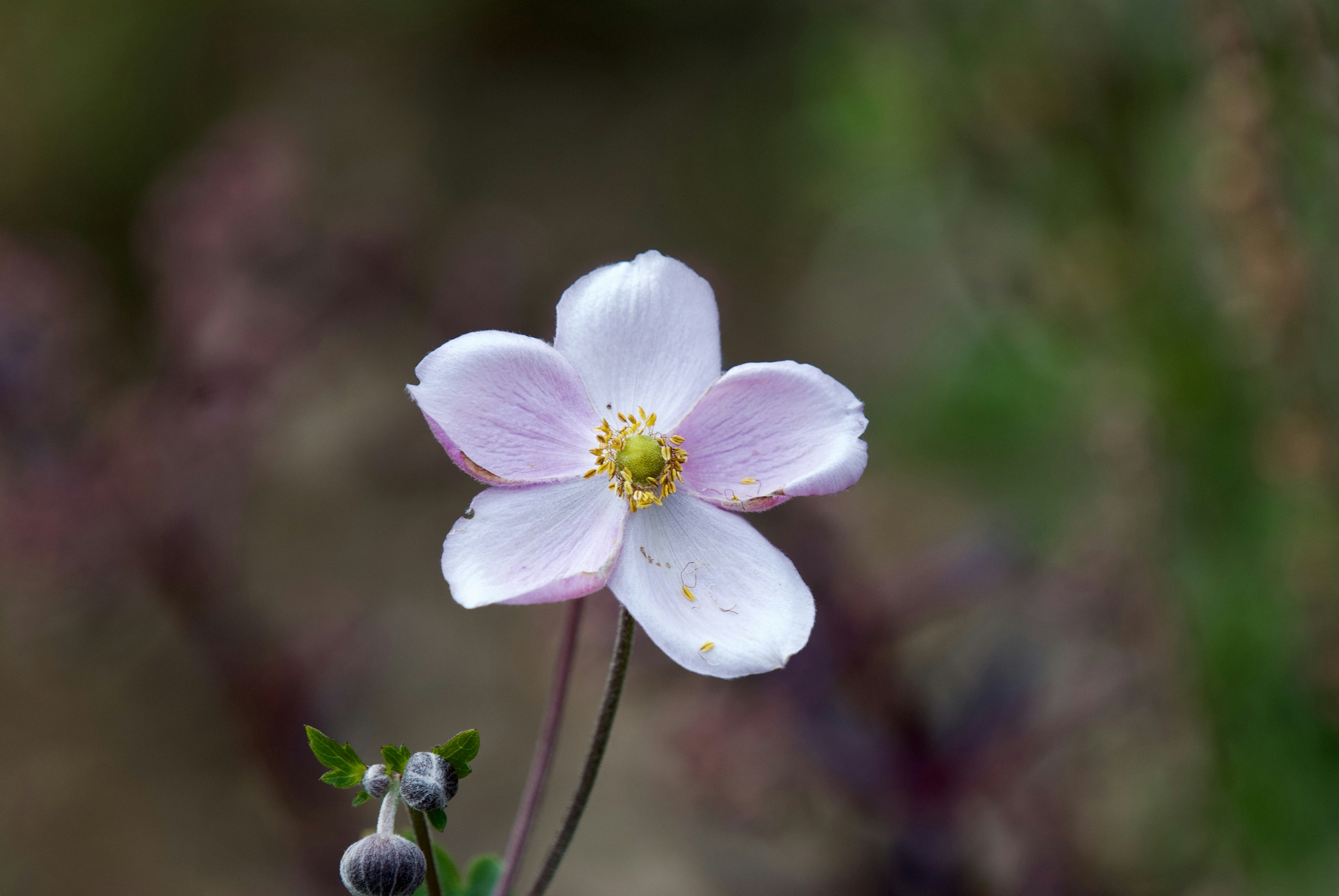 Photo by brennancavaliero