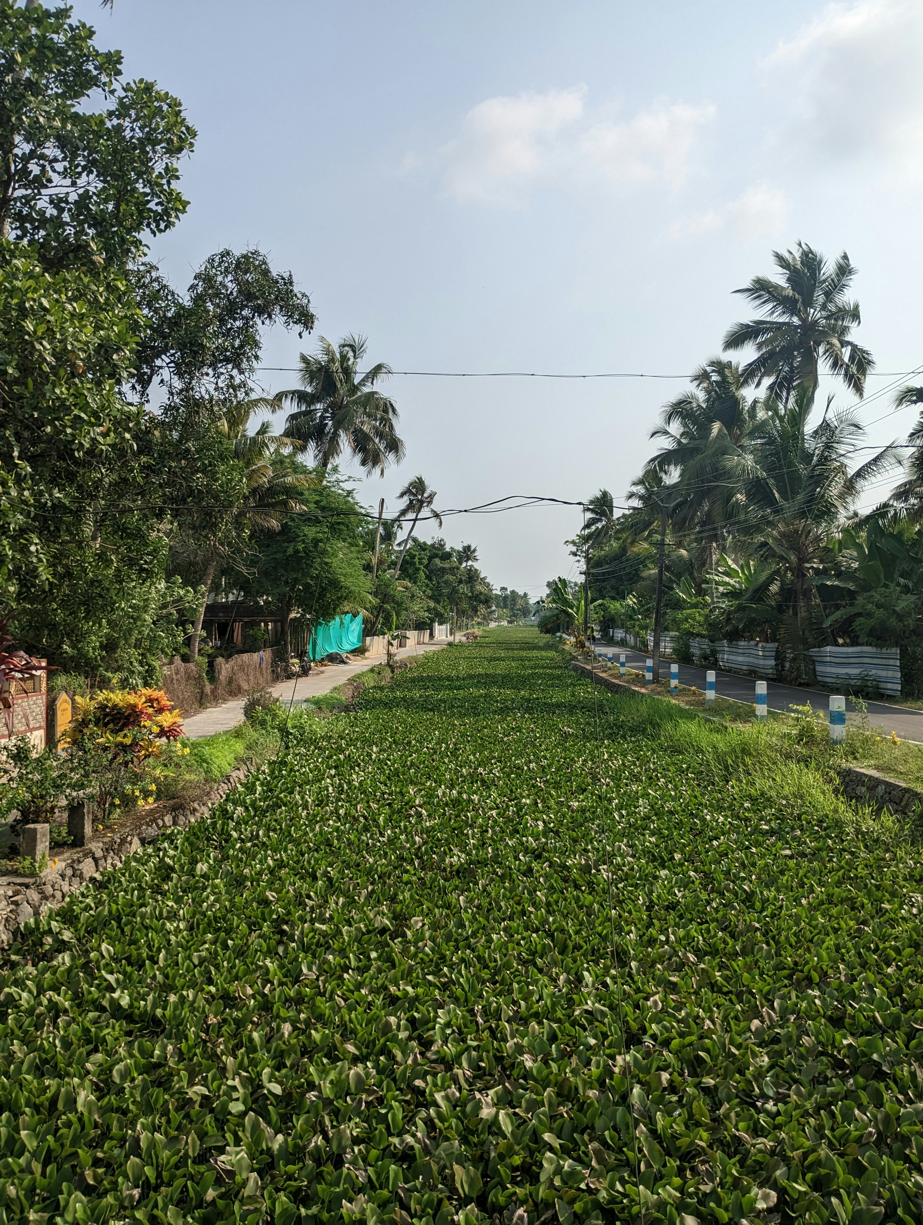 An aerial view of the eco-village, showing huts nestled in nature.