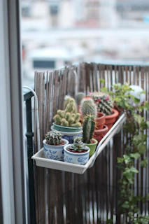 A collection of potted plants arranged beautifully on a small balcony space.