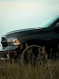 a black truck parked in a field of tall grass