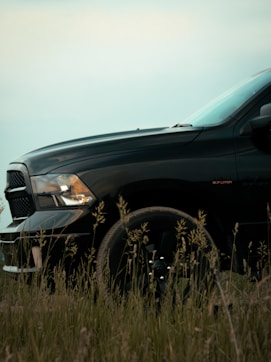 a black truck parked in a field of tall grass