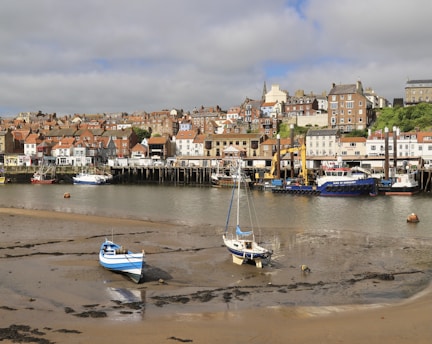 A coastal town with a collection of buildings featuring red and brown roofs and various architectural styles. In the foreground, there are three boats resting on the sandy and muddy shore during low tide. The harbor contains additional boats and the sea wall pier. Vegetation can be seen on the hillside, contributing to a lush green backdrop.