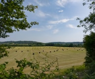 a field full of hay bales under a blue sky