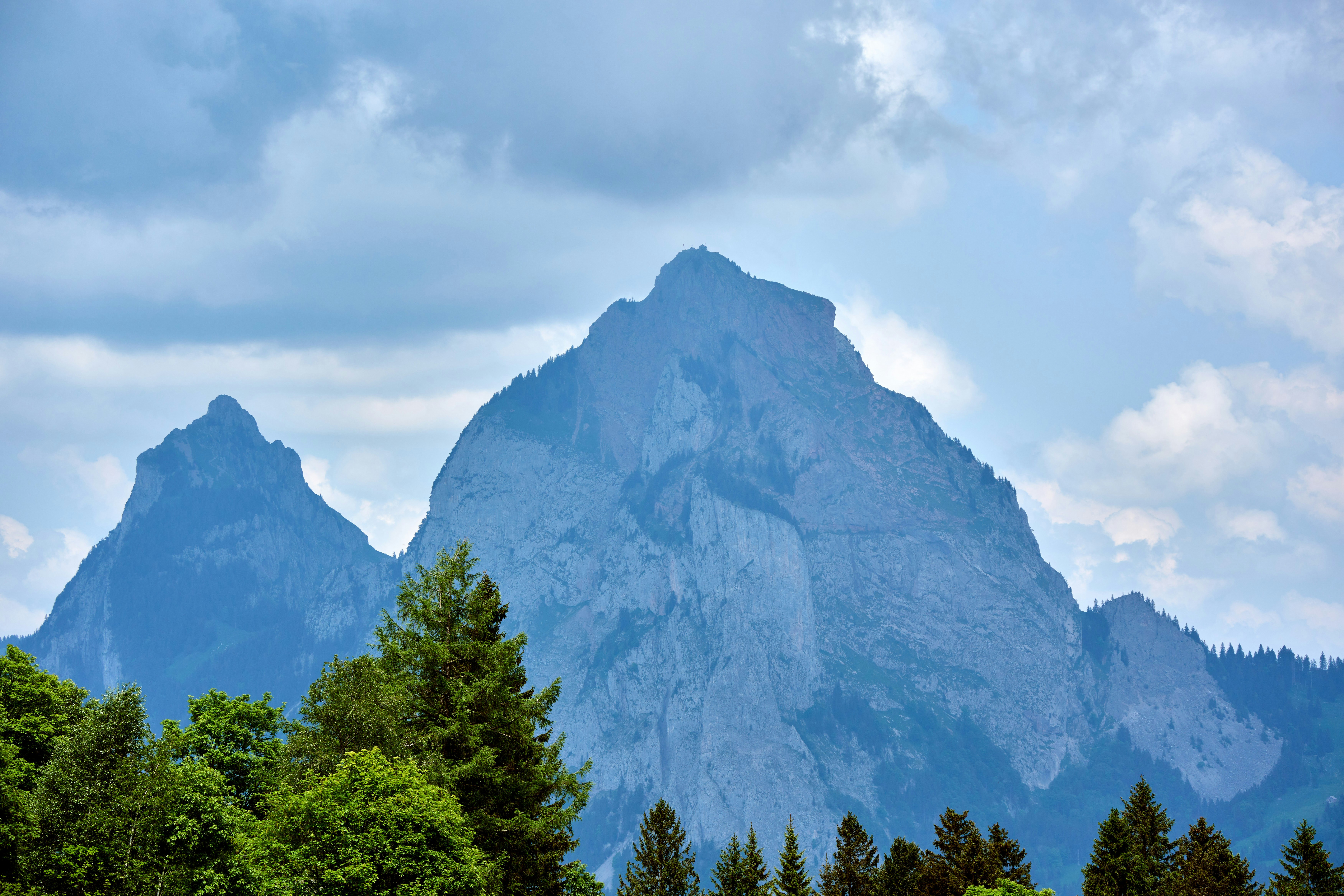 Photo by wolfgang_hasselmann