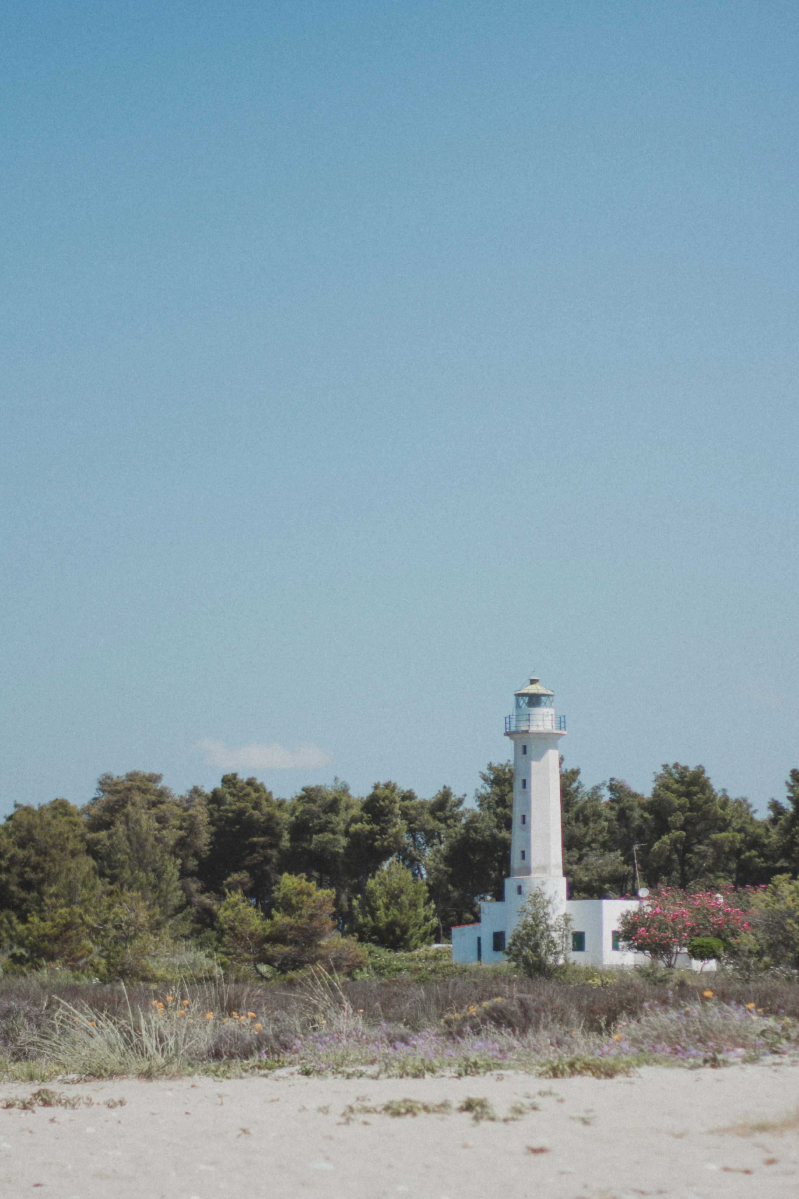 Photo by svitlana_rusak