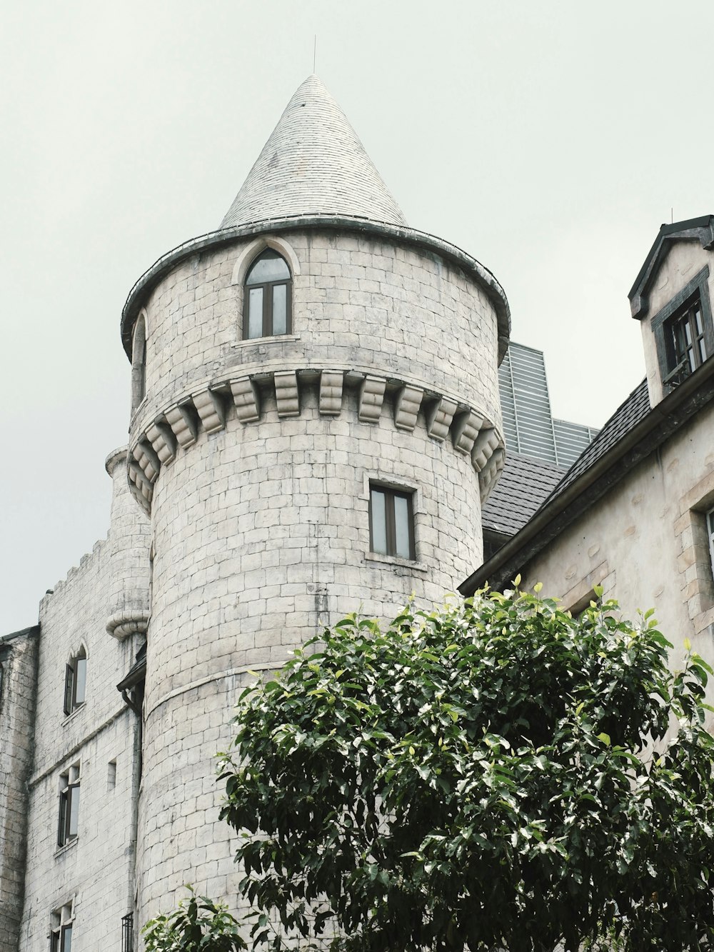 a castle like building with a tree in front of it