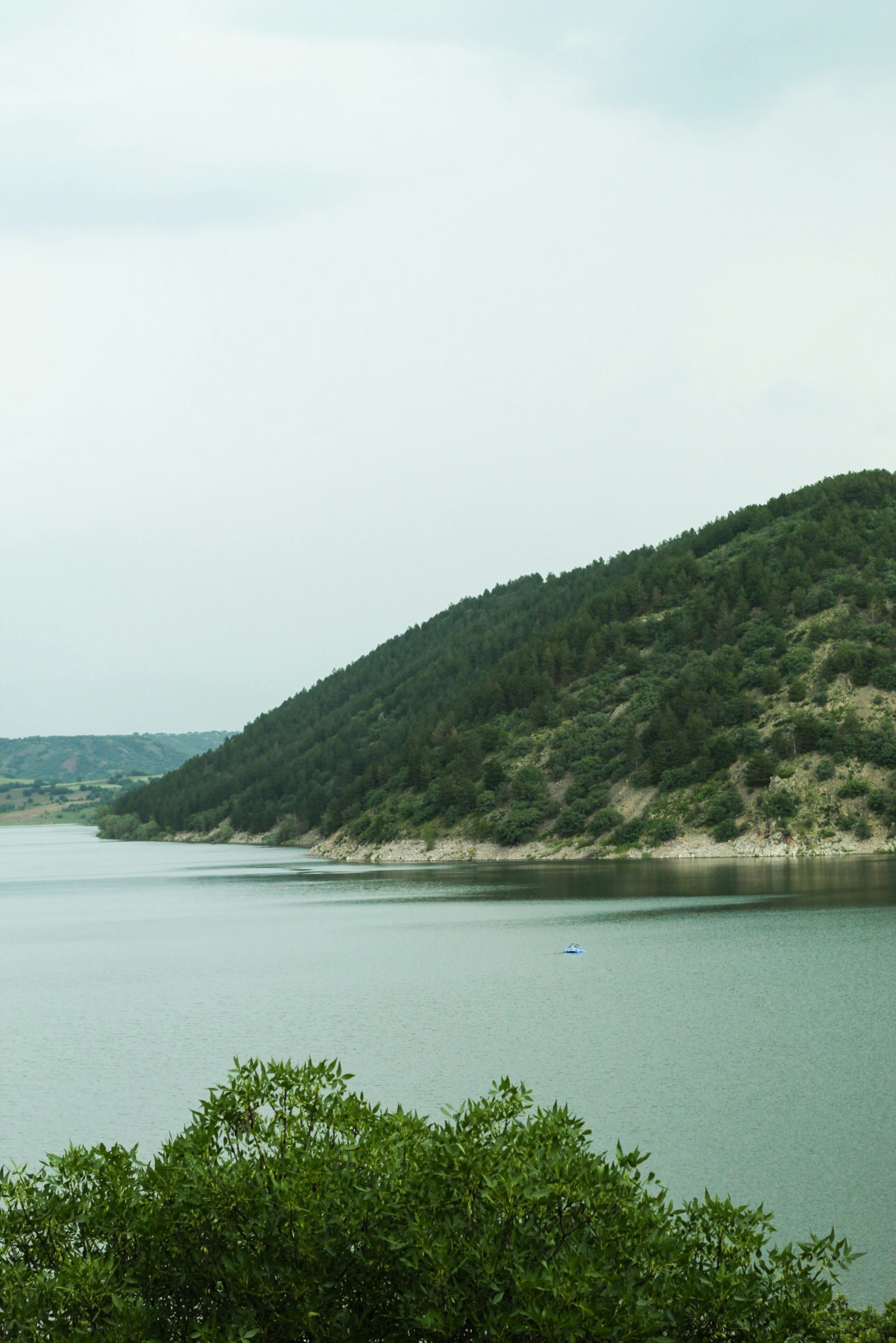 Photo by esrakorkmaz