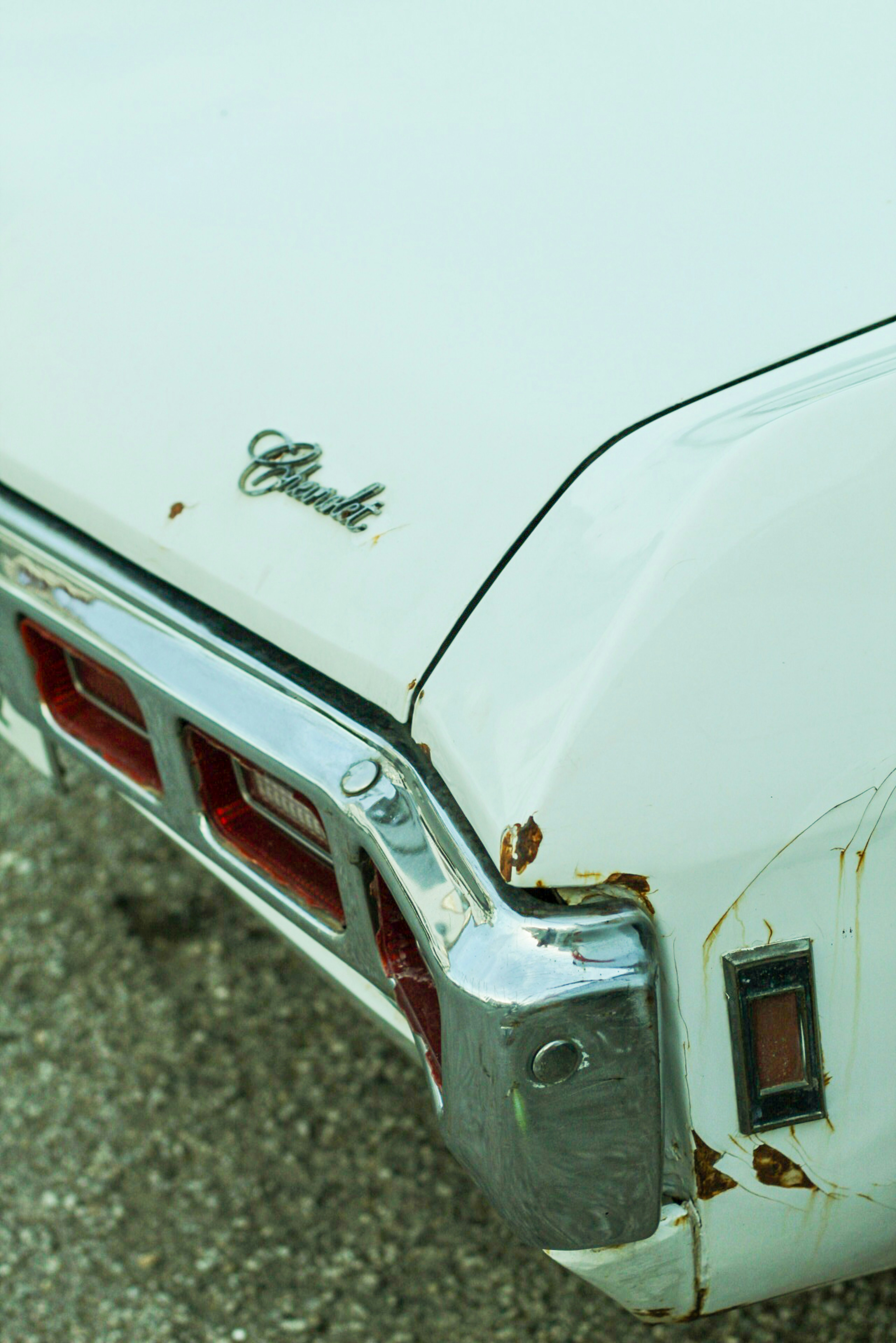 Photo by esrakorkmaz