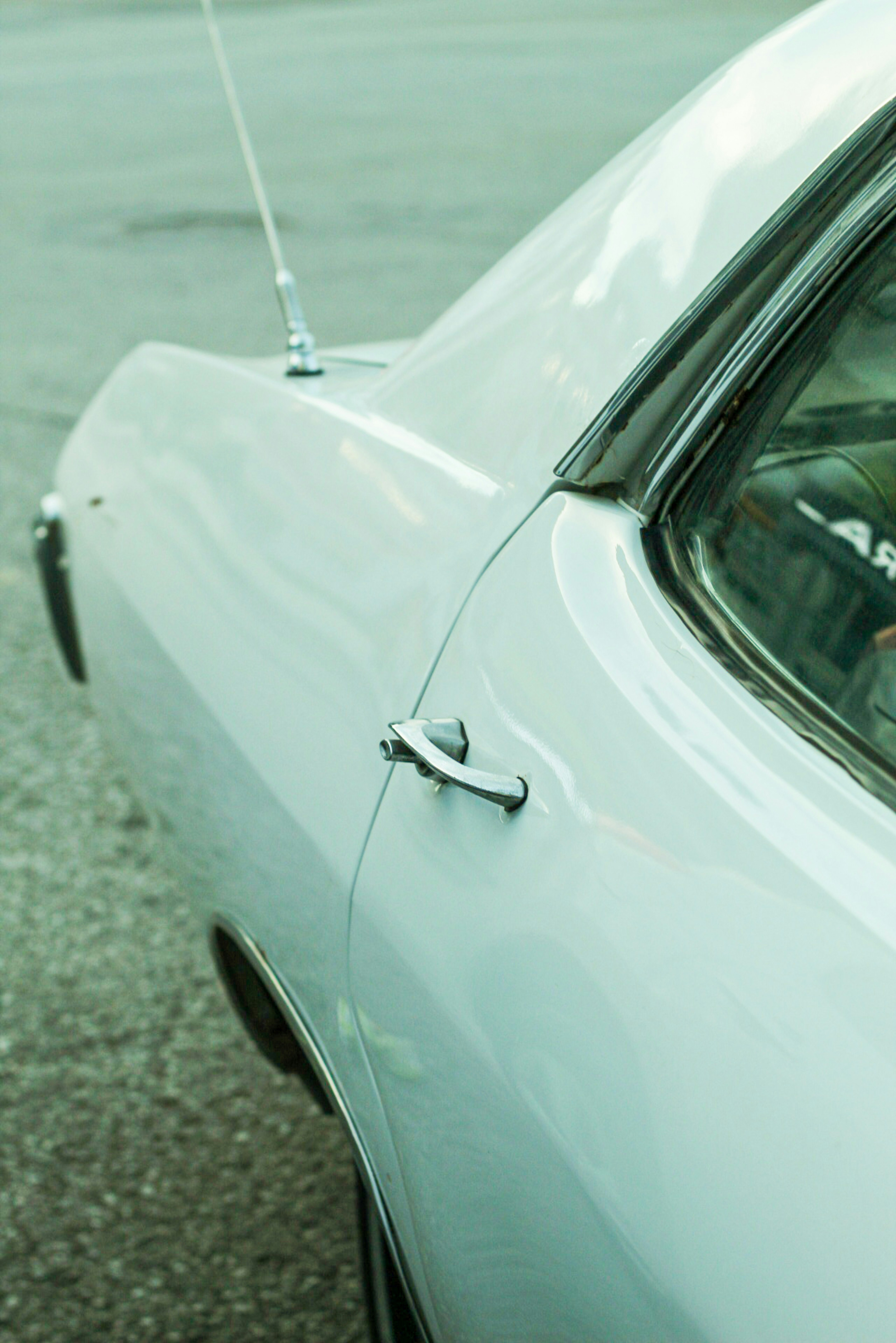 Photo by esrakorkmaz