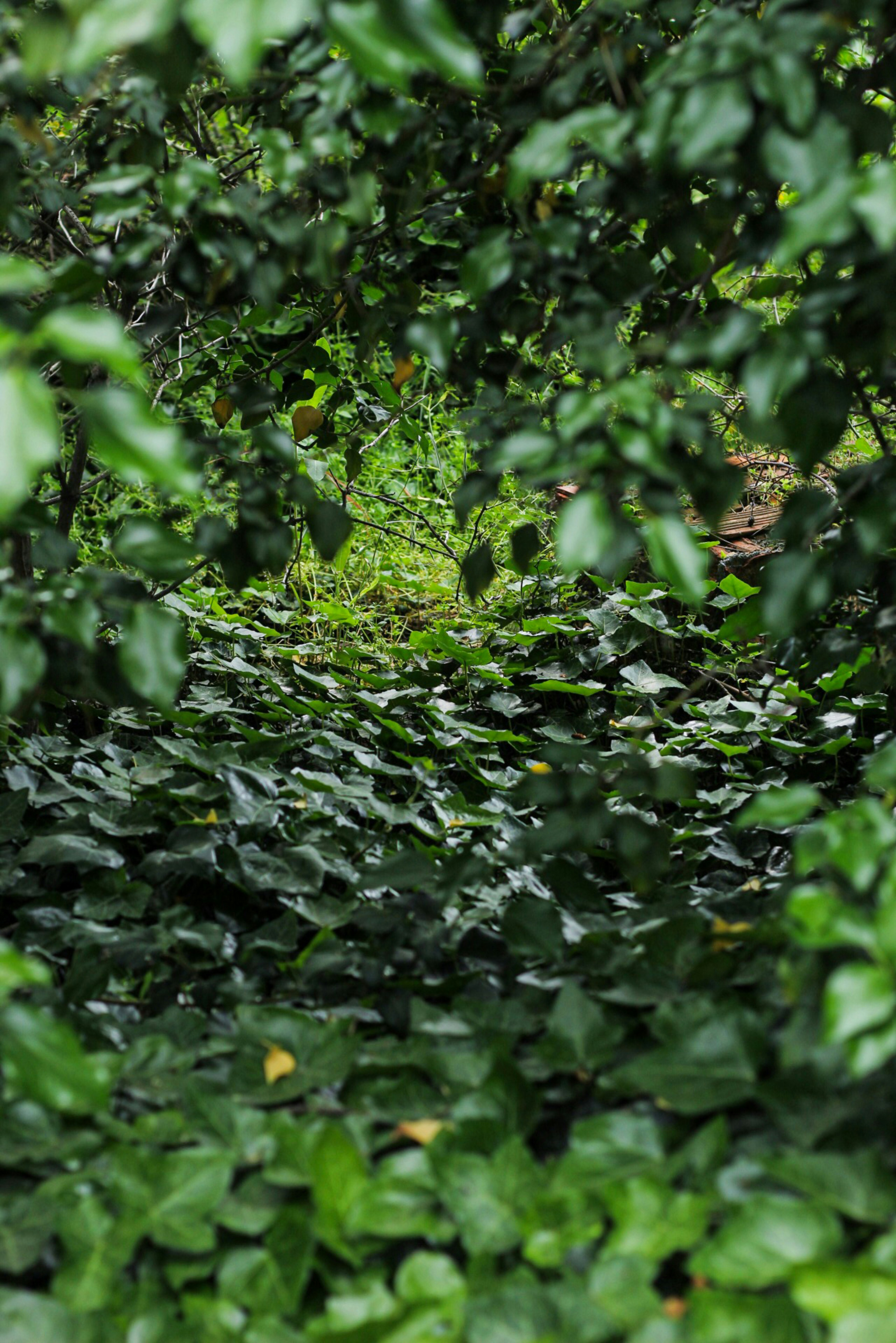 Photo by esrakorkmaz