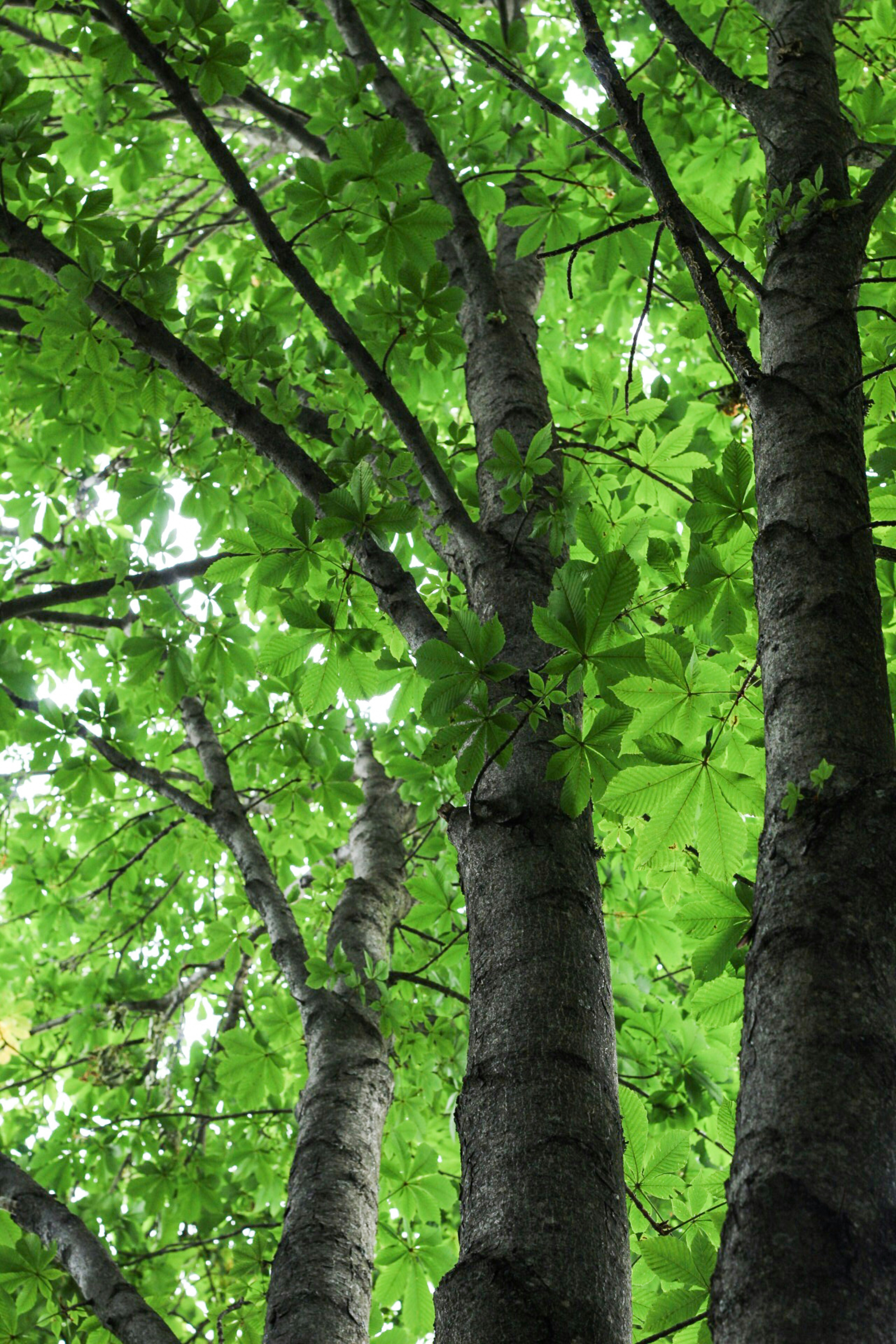 Photo by esrakorkmaz