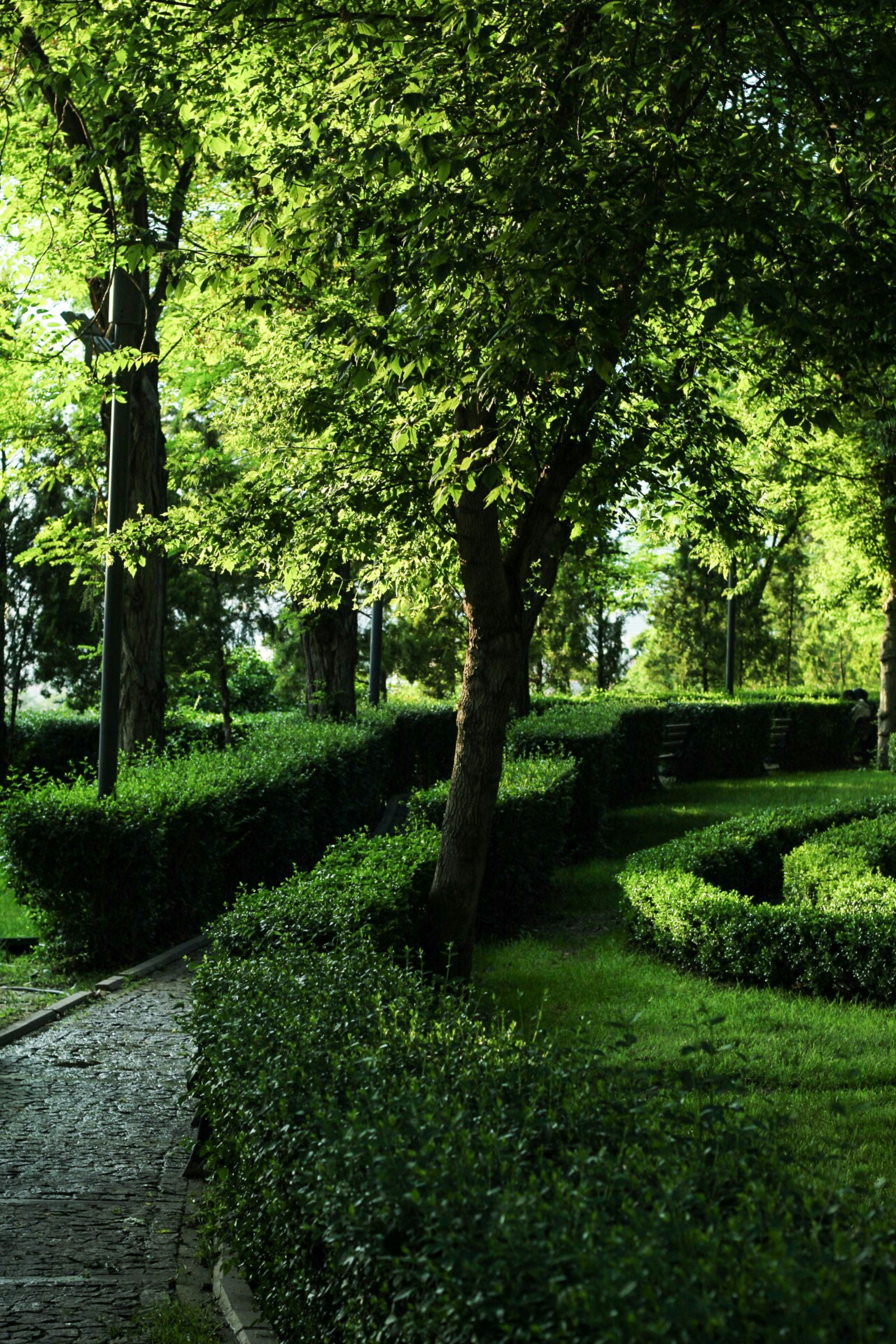 Photo by esrakorkmaz