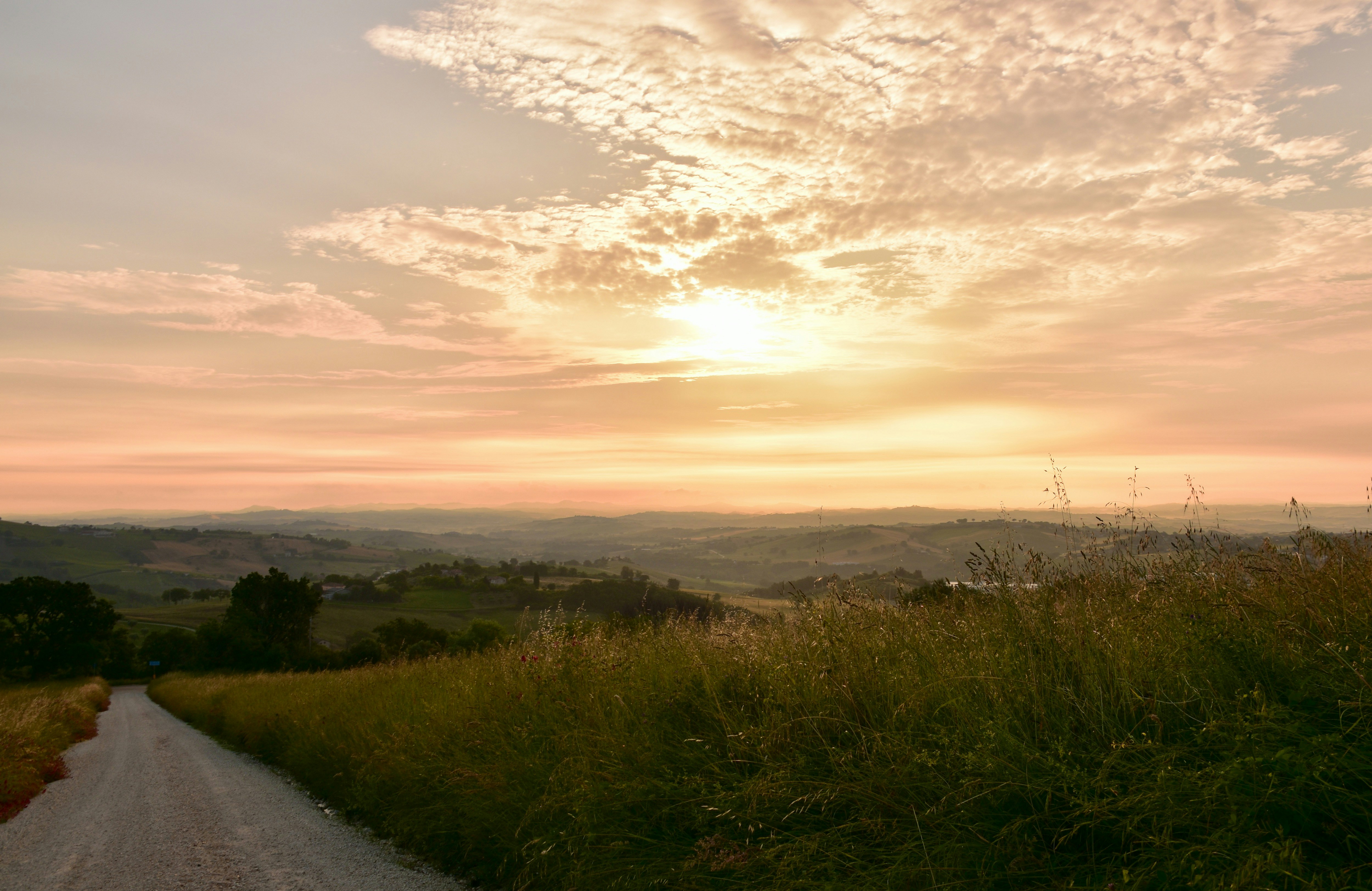 Photo by mariobeducci