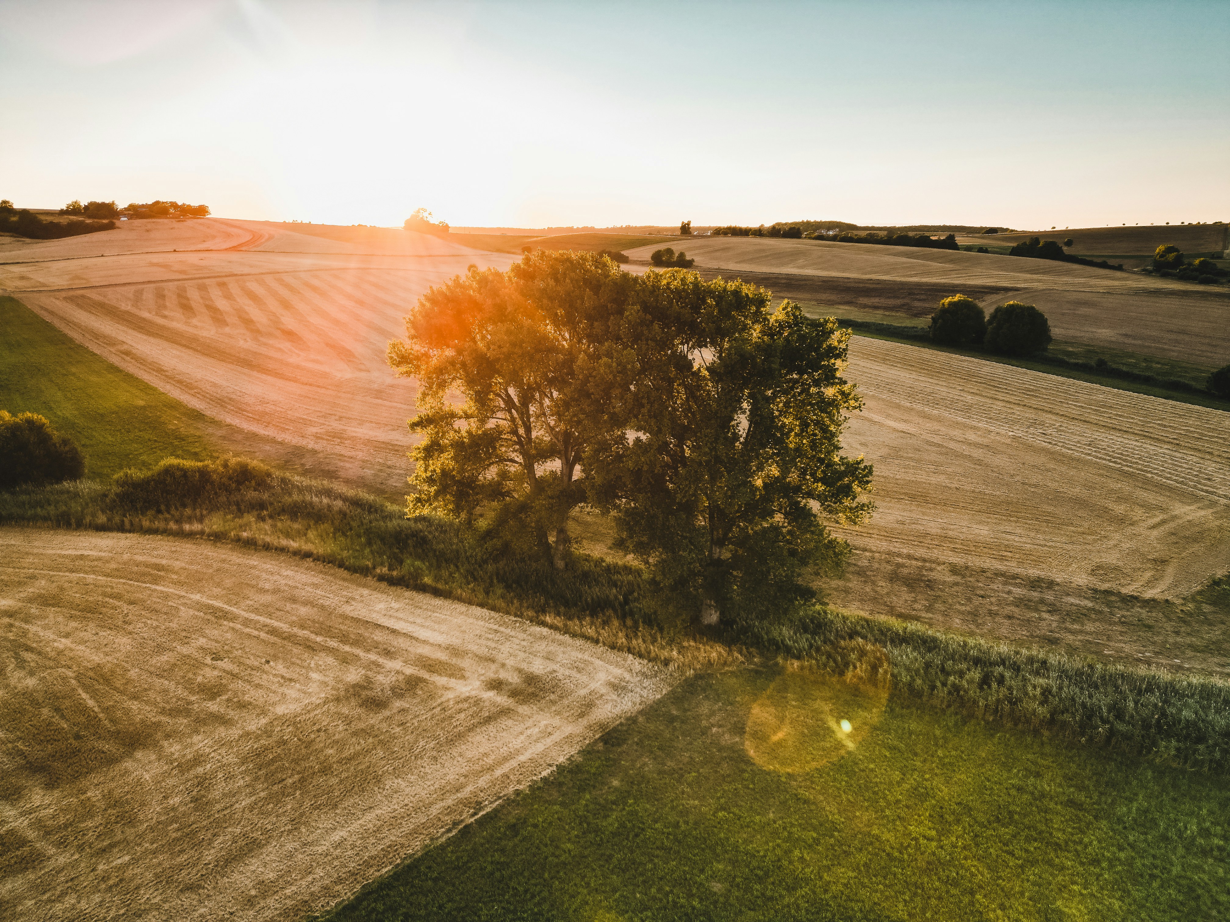 Photo by timonreinhard