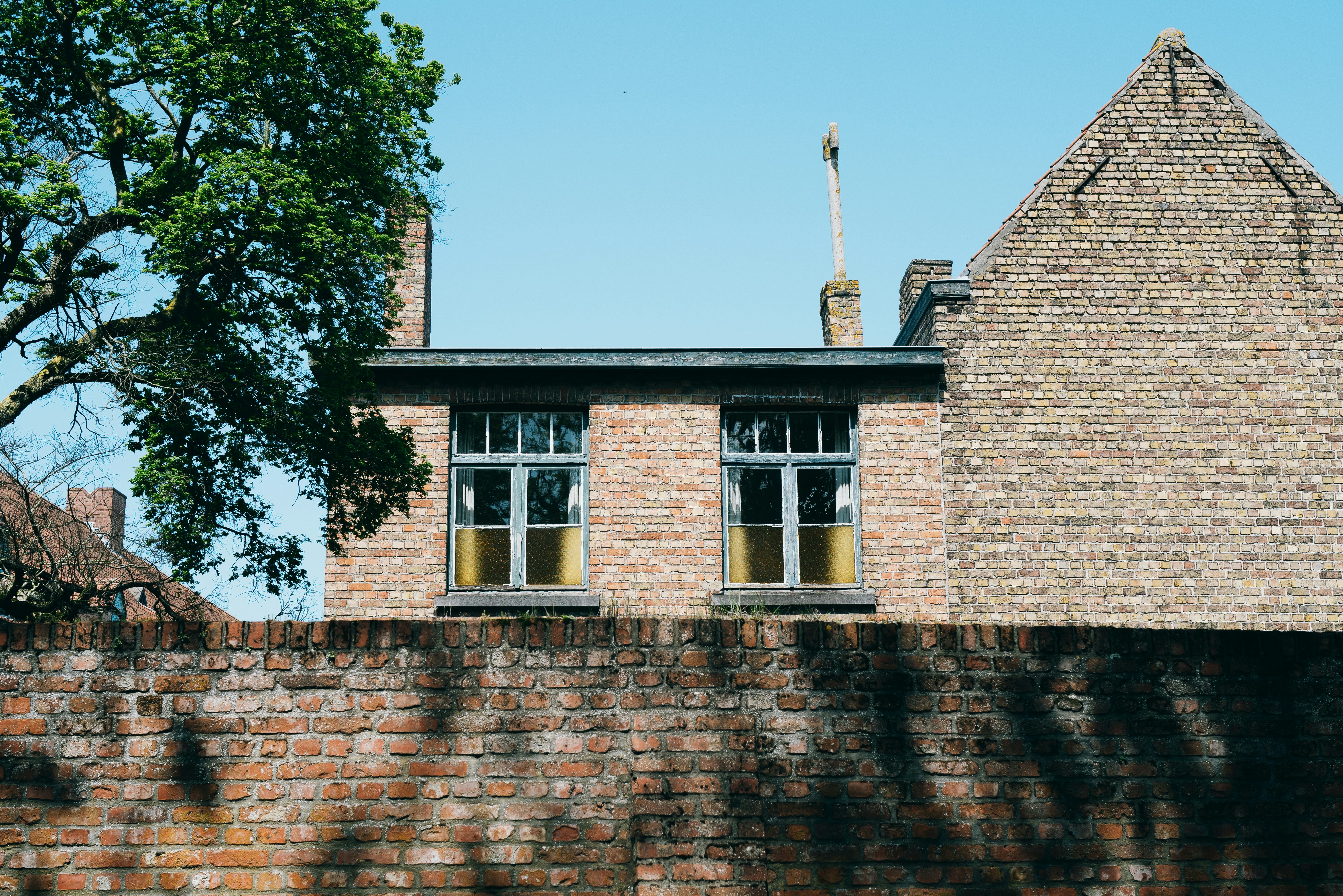 Photo by timonreinhard