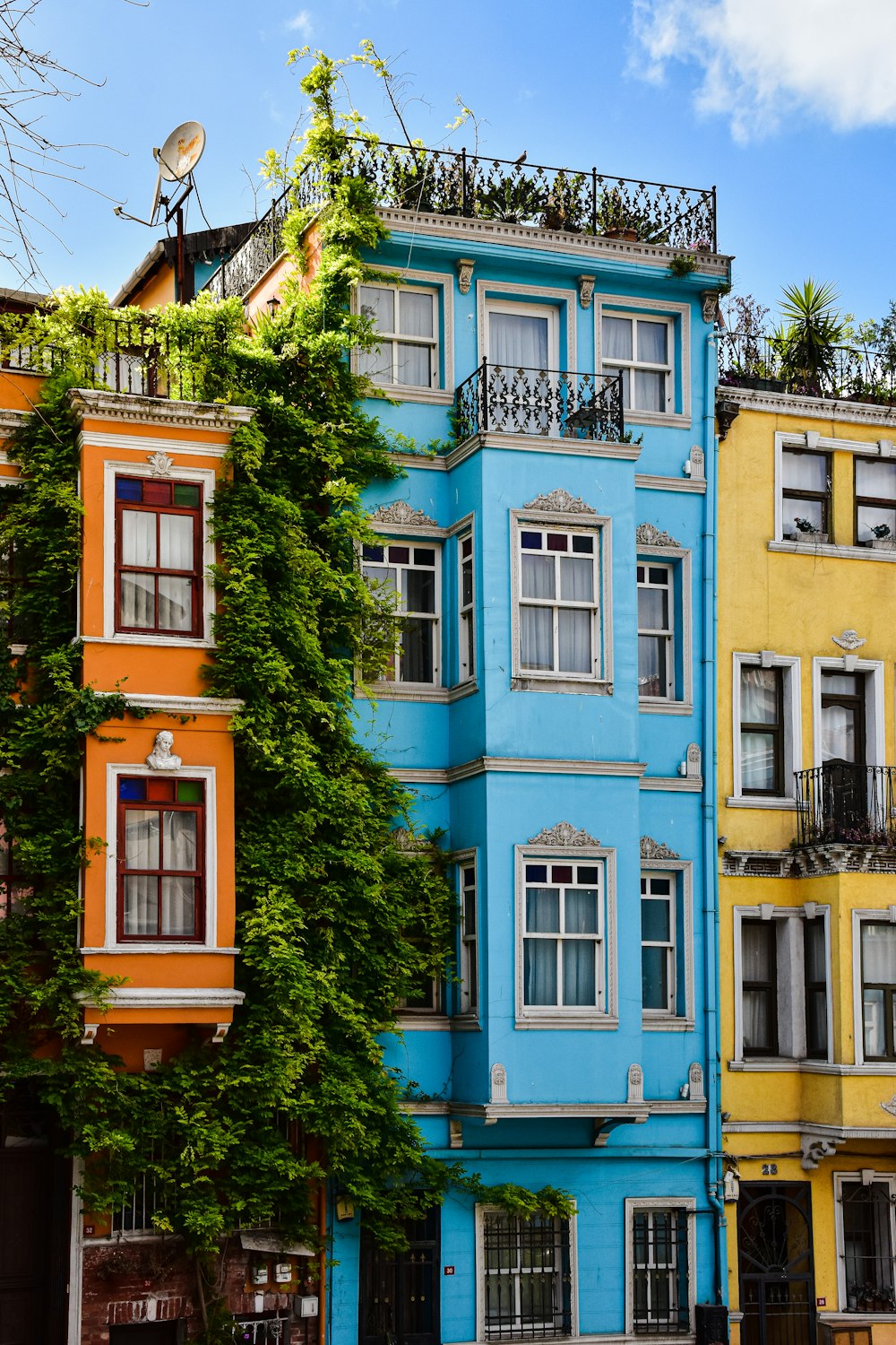 a row of multi - colored buildings in a city