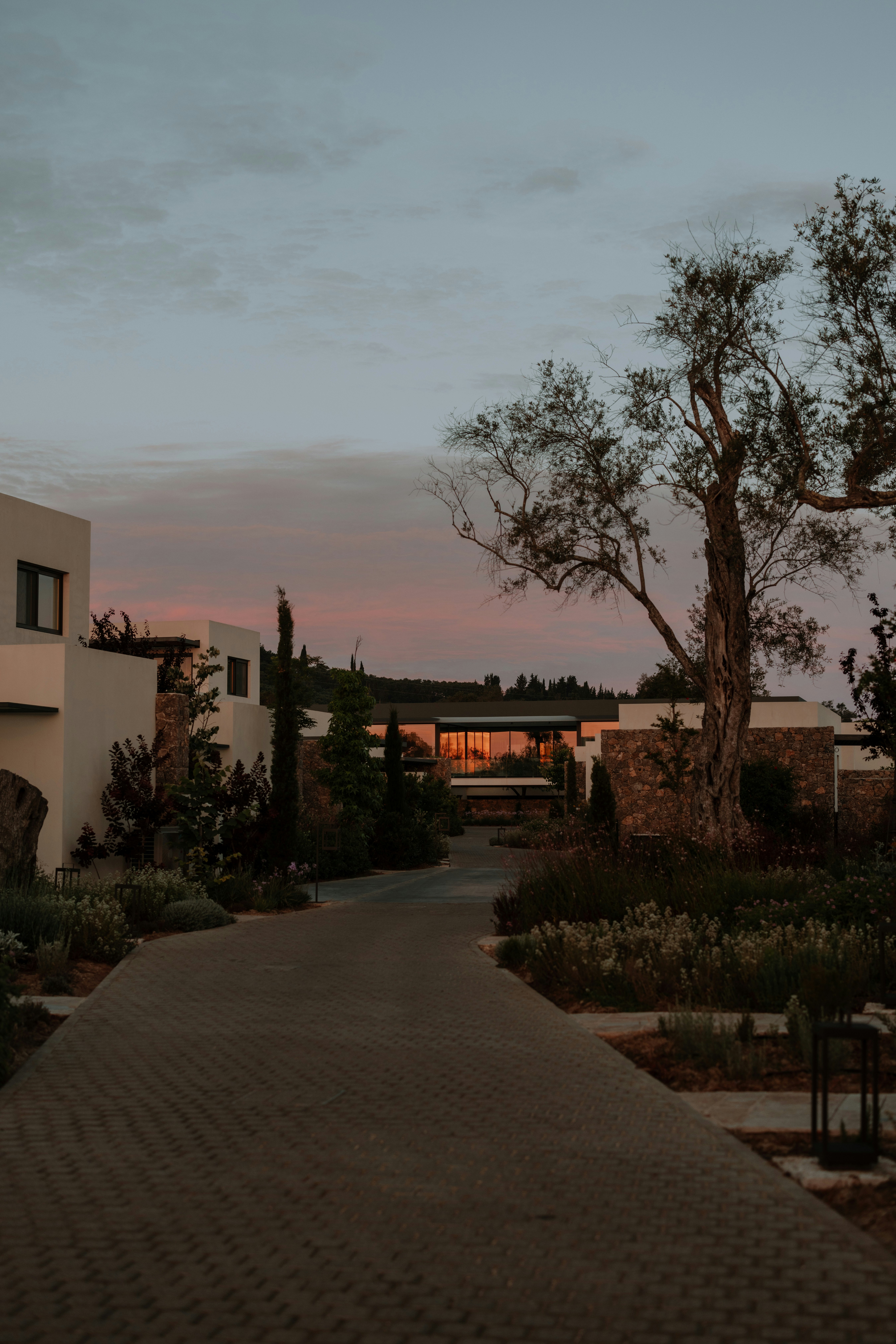 Photo by patresinger