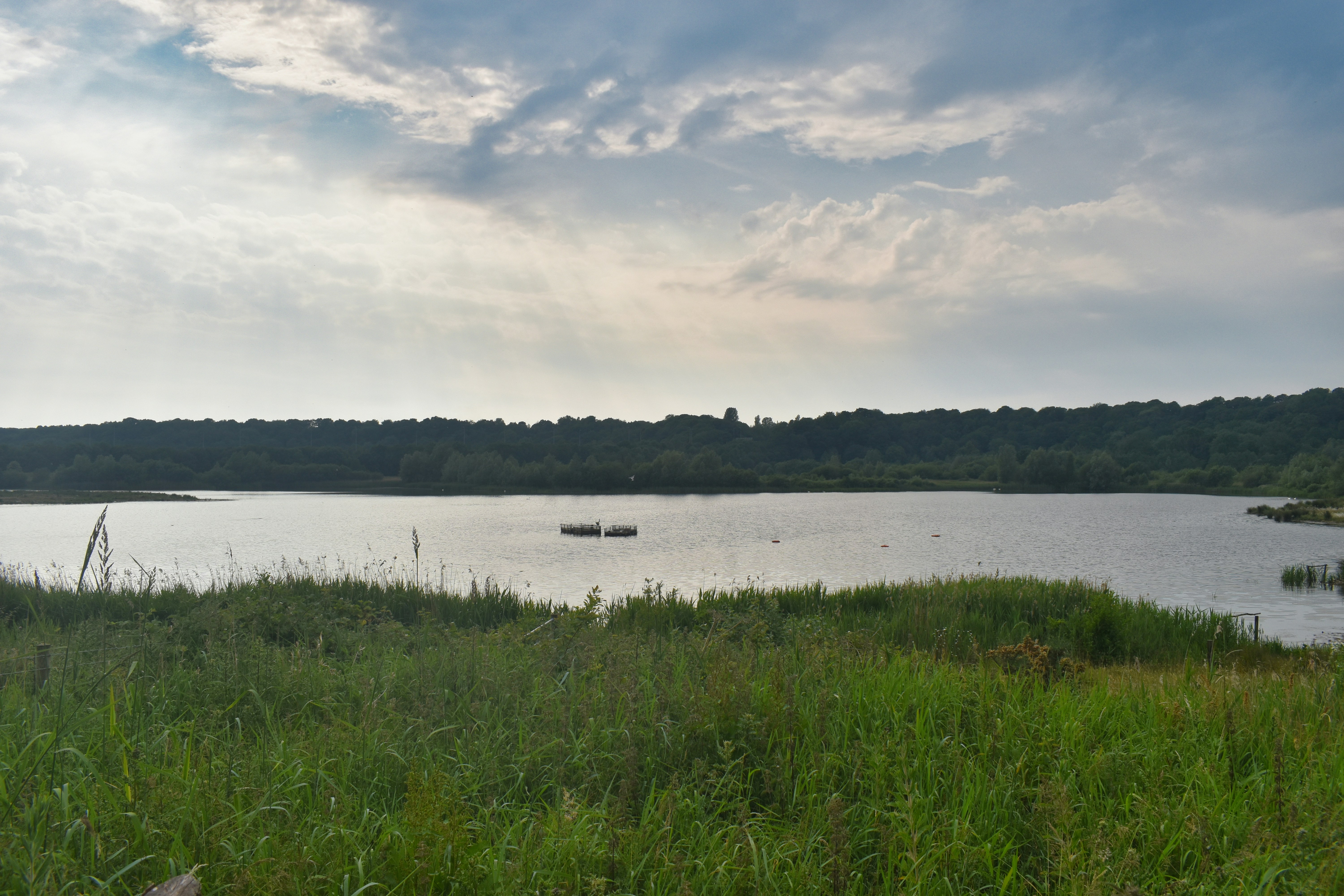 Photo by andrew_hall