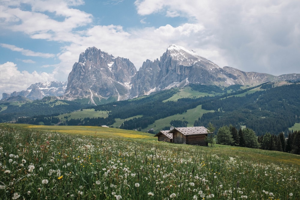 a house in a field with mountains in the background