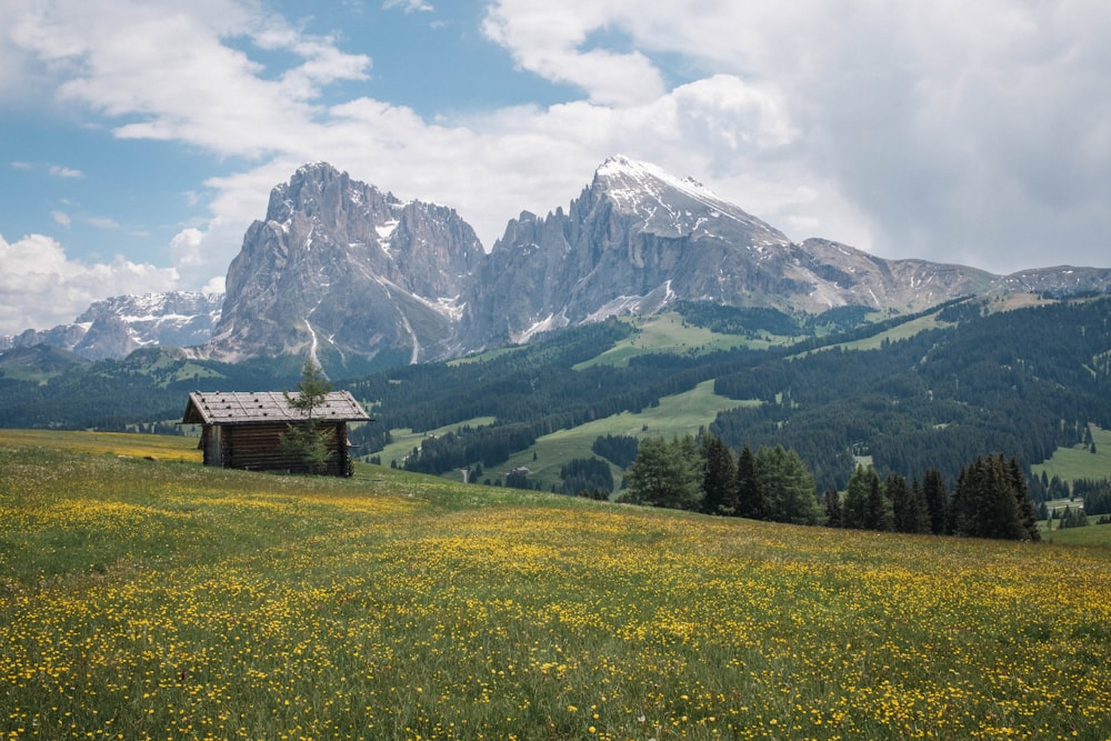 a small cabin in a meadow with mountains in the background