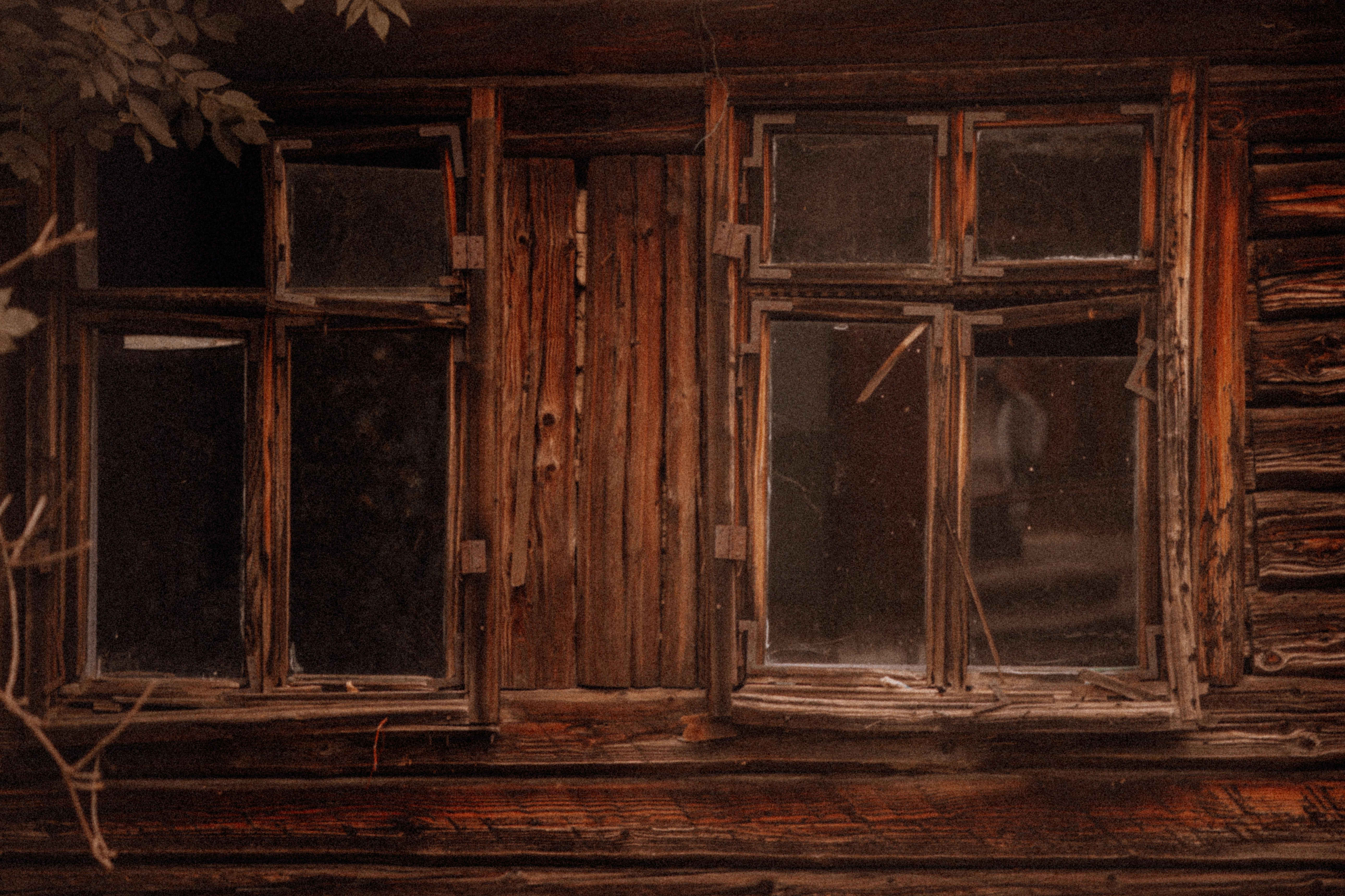 Photo by elisamoldovan