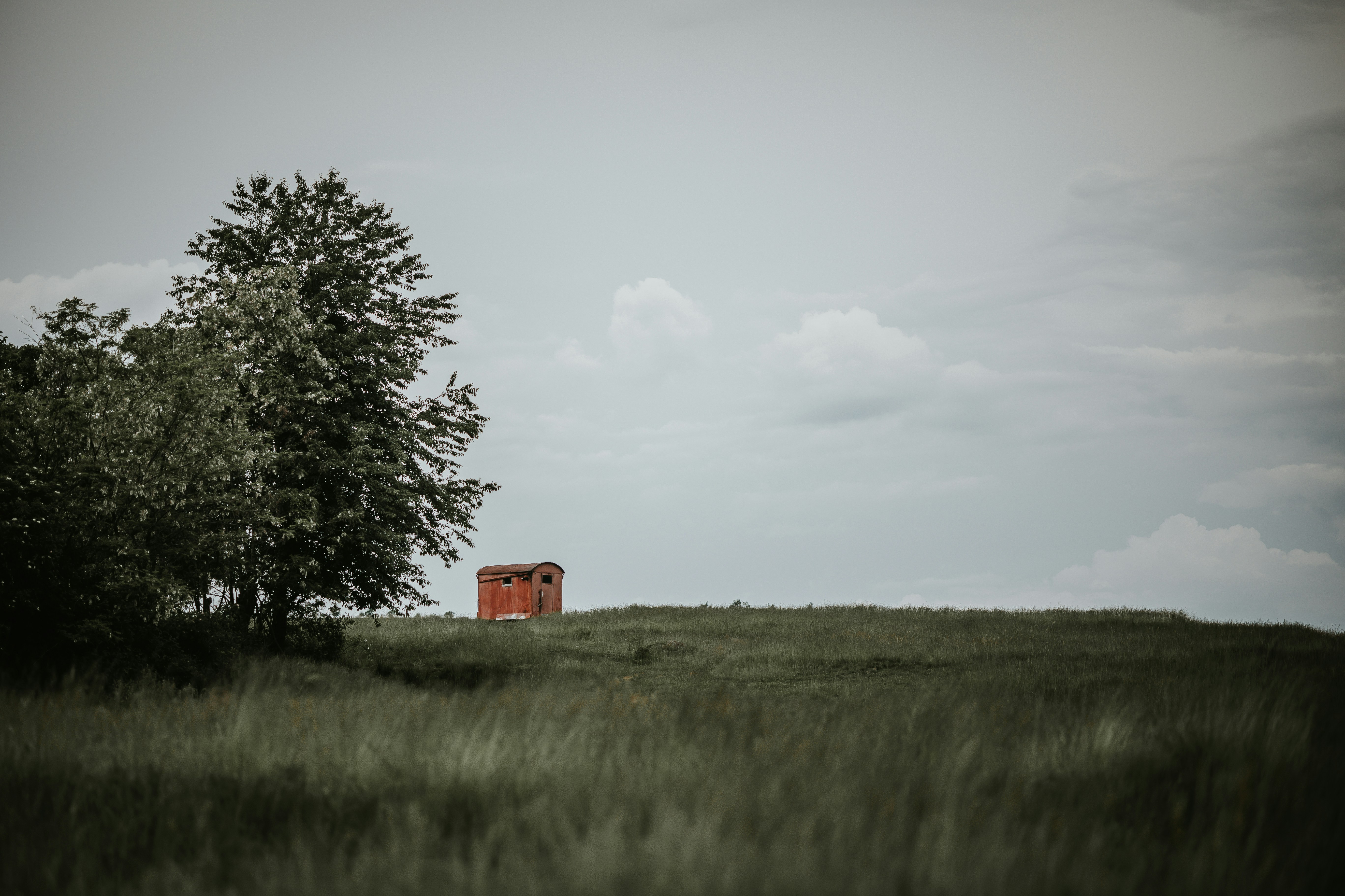 Photo by elisamoldovan