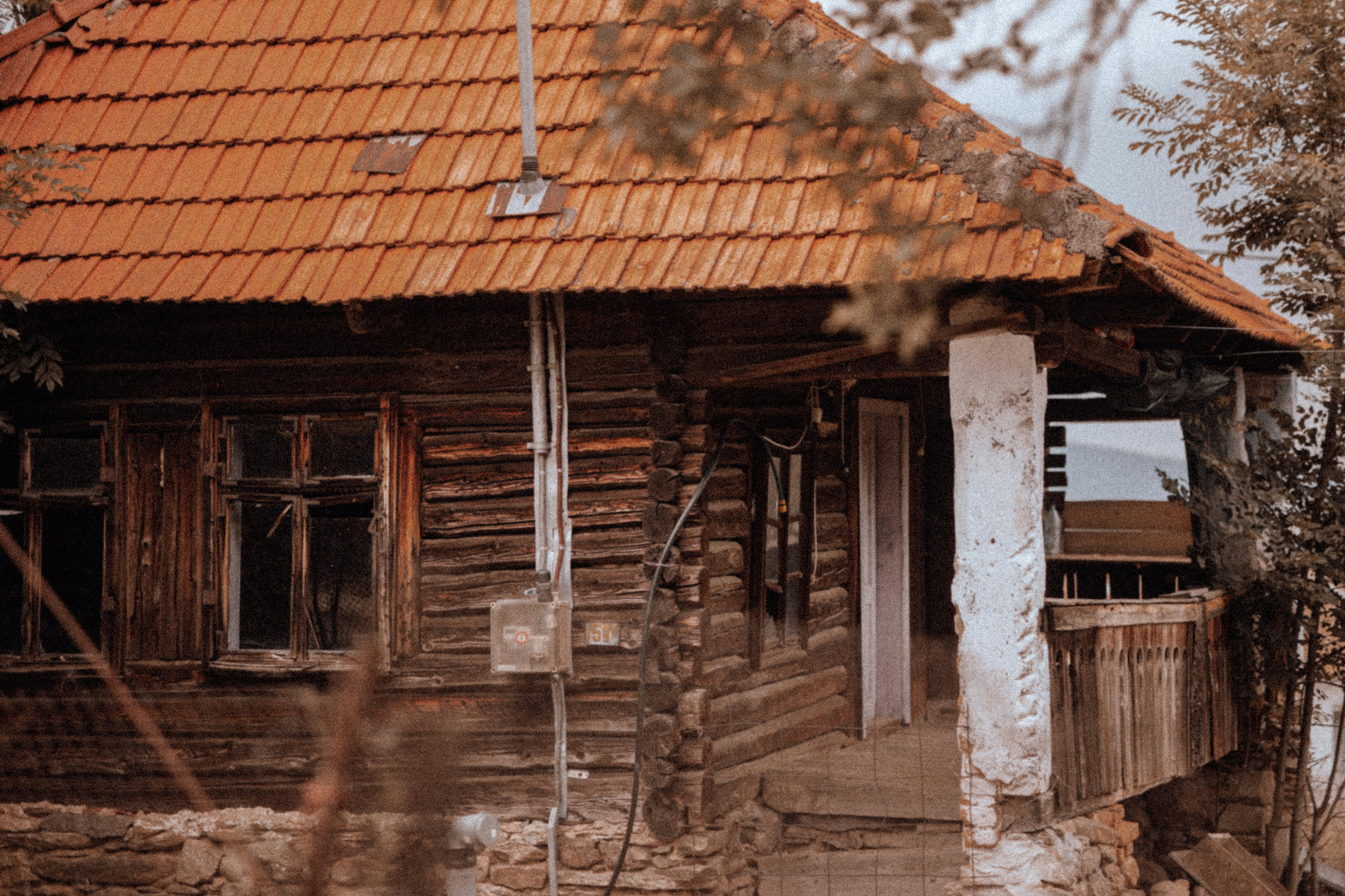 Photo by elisamoldovan