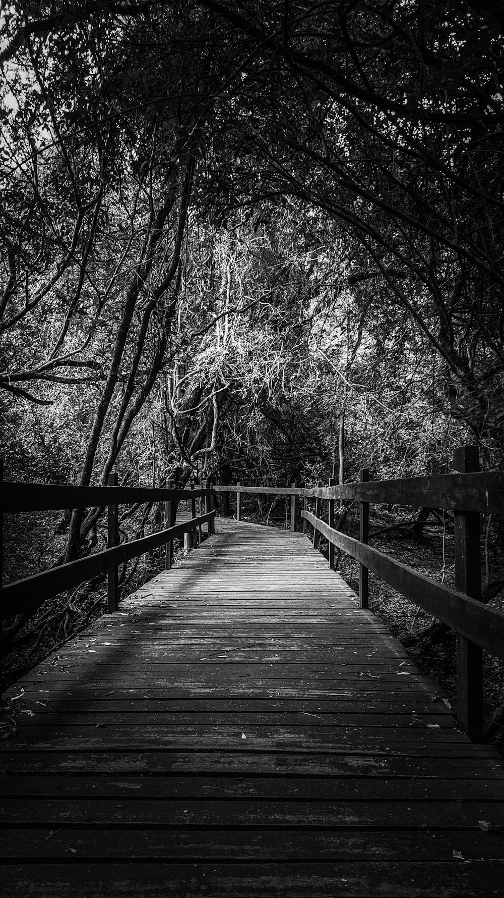 uma foto em preto e branco de uma ponte de madeira
