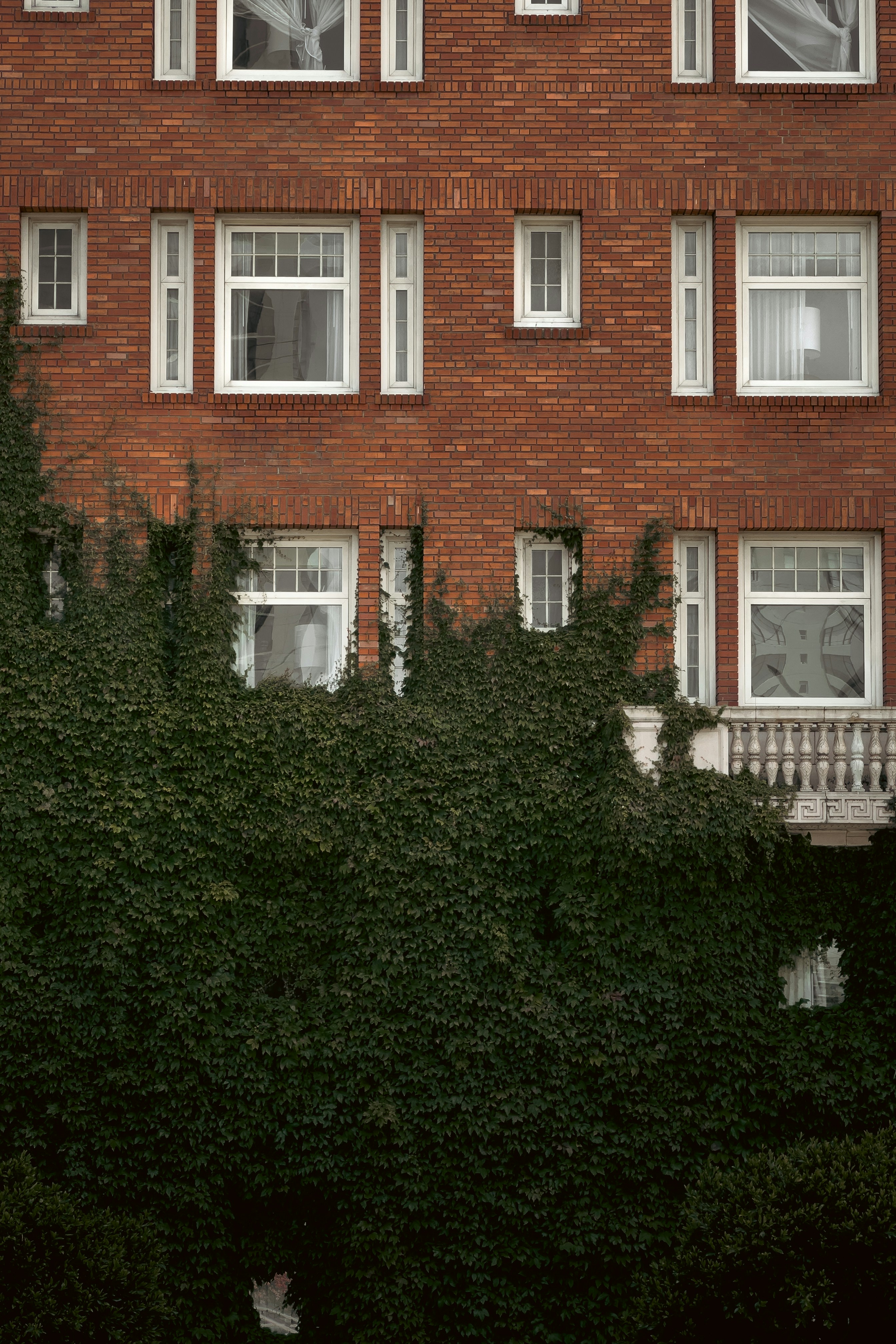 Photo by kalaniparker