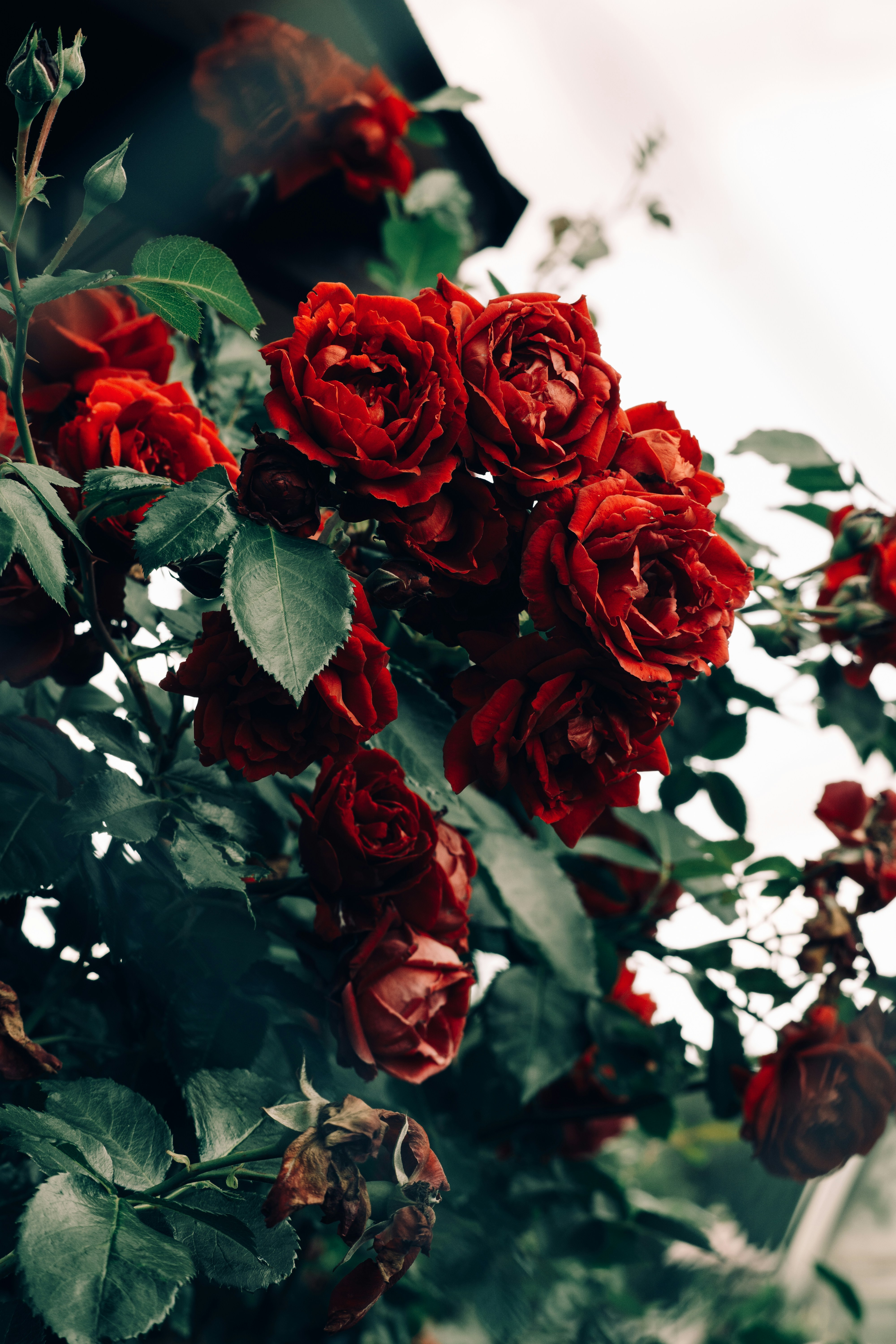 Photo by dashakrotiphoto