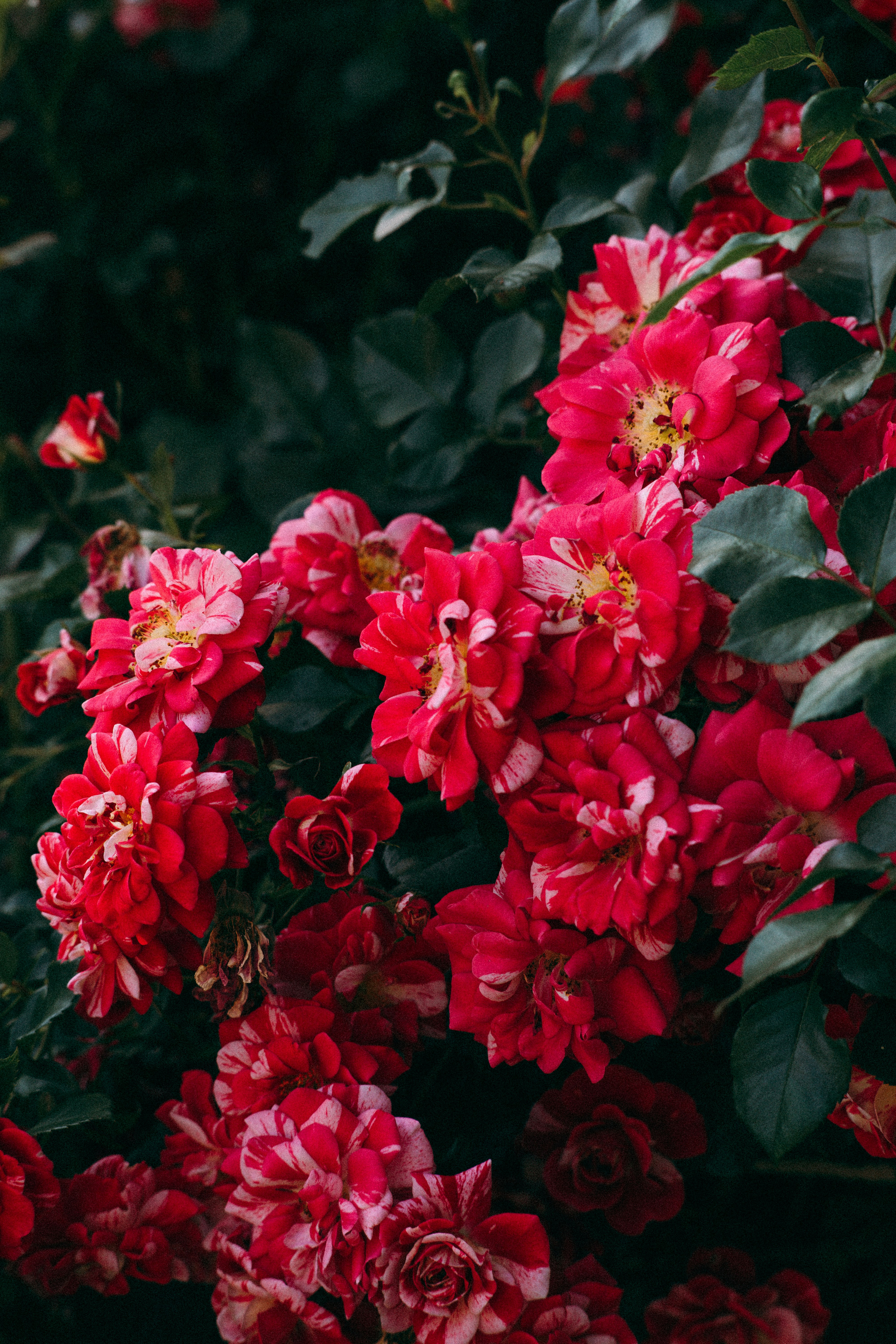 Photo by dashakrotiphoto