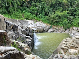 A serene natural pool surrounded by large, rocky formations and lush green vegetation. The water appears clear, with a small waterfall cascading into the pool, generating gentle ripples. The dense forest backdrop adds to the secluded and peaceful atmosphere.