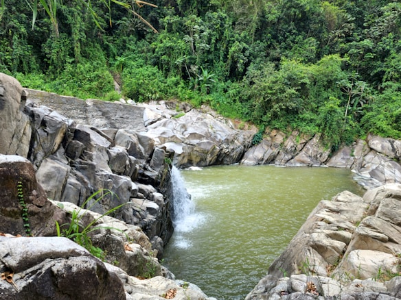 A serene natural pool surrounded by large, rocky formations and lush green vegetation. The water appears clear, with a small waterfall cascading into the pool, generating gentle ripples. The dense forest backdrop adds to the secluded and peaceful atmosphere.