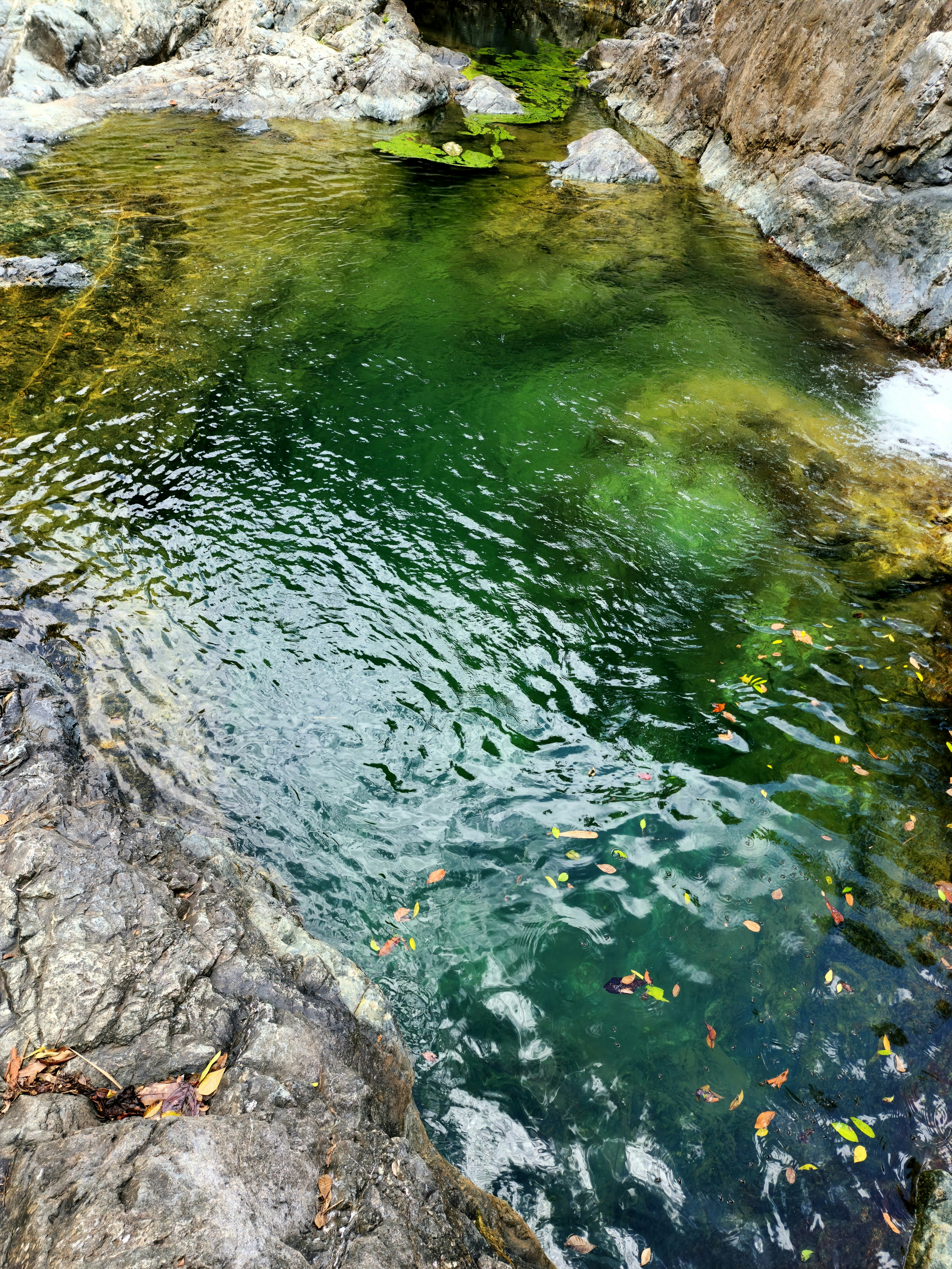 Orr Hot Springs: Guide to Relaxing Pools, Rustic Cabins & Nature Retreat in Mendocino County