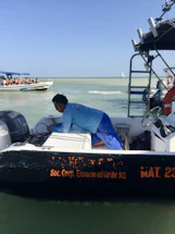 A friendly technician polishing a boat under the warm Texas sun.