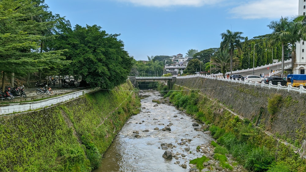 a river running through a lush green forest