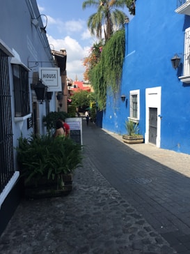 A narrow cobblestone street flanked by brightly painted buildings, with a vivid blue wall on the right and a gray-toned building on the left. A sign reading 'House Restaurant' hangs on the left building. Lush green plants cascade from the blue wall, adding vitality to the scene. In the background, a few people walk along the path and more colorful buildings are visible.