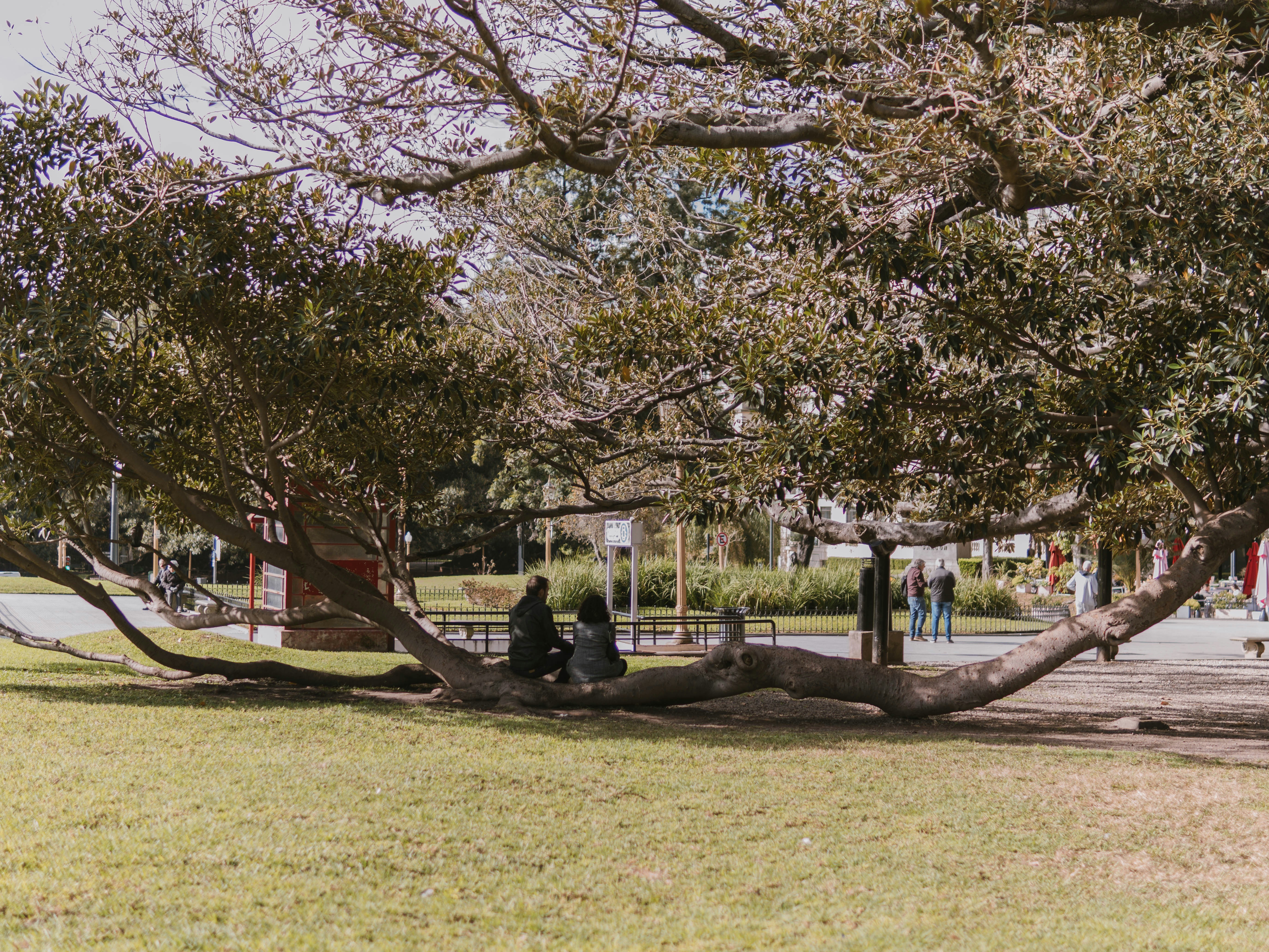 Photo by criandocomdione