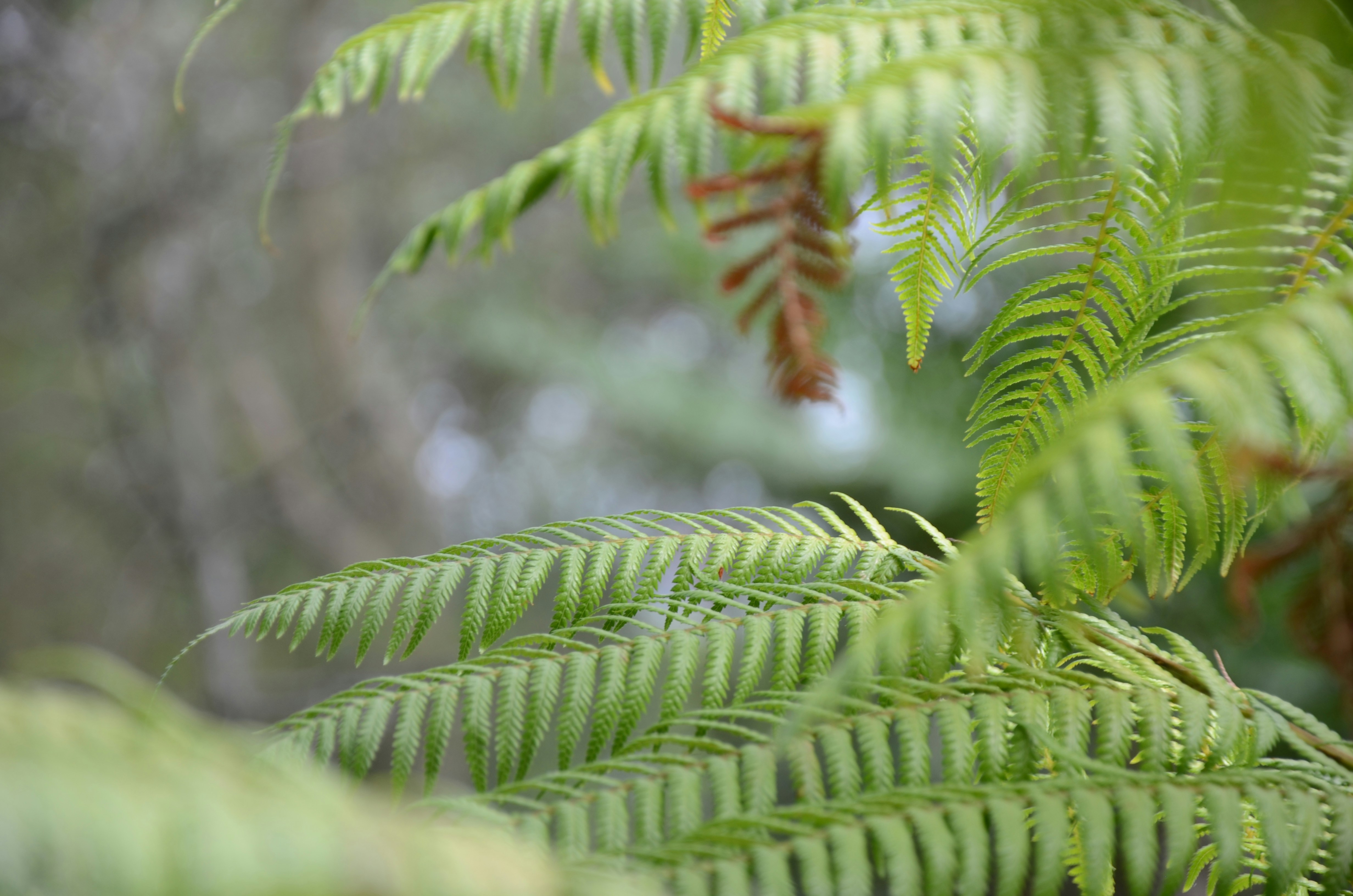 Photo by andreakest2018