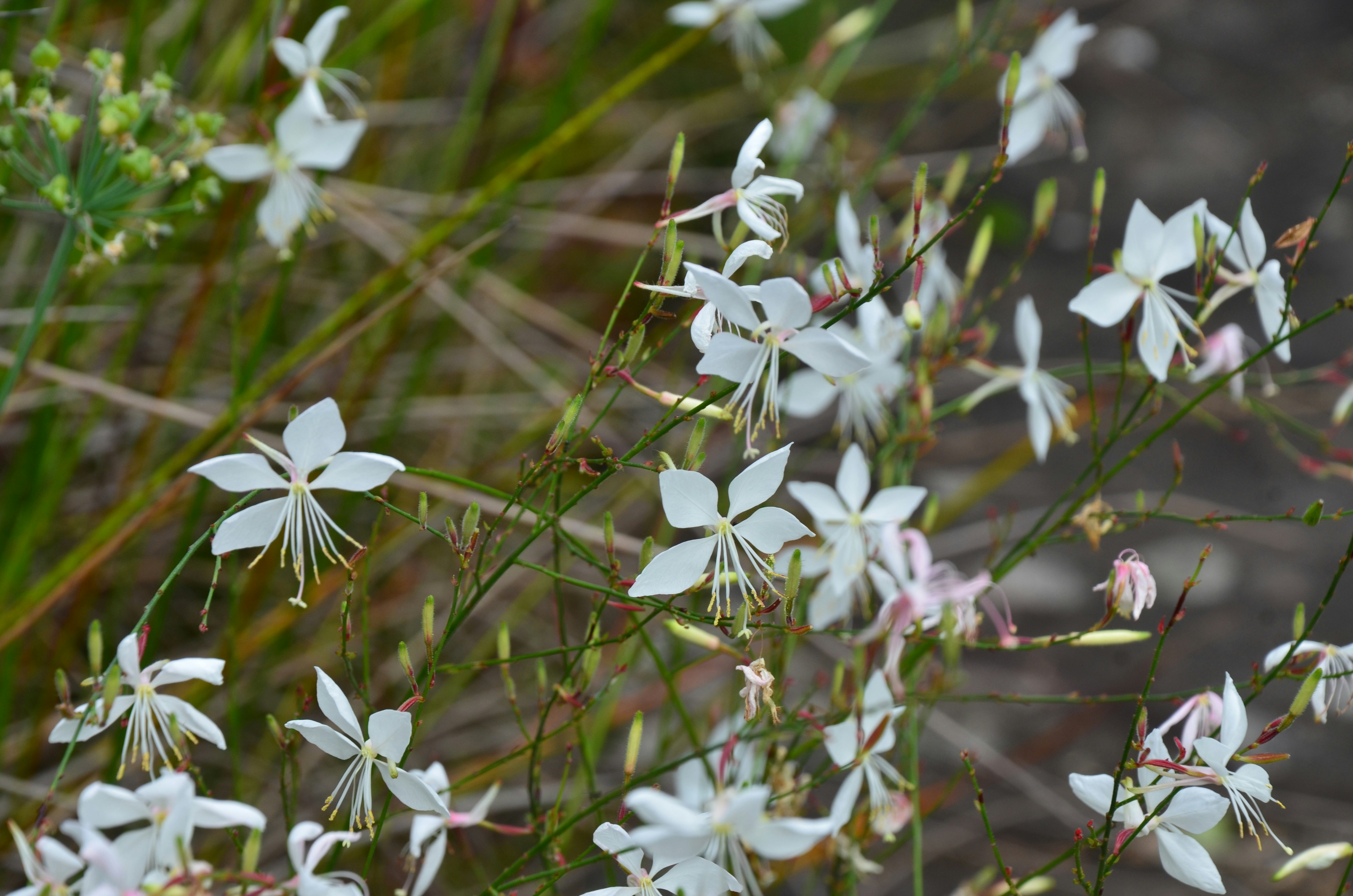 Photo by andreakest2018