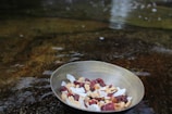 A bowl filled with a mix of dried fruits and nuts is placed on a wet surface. The bowl contains visible coconut flakes, almonds, and dried berries, against a blurred, water-textured background.