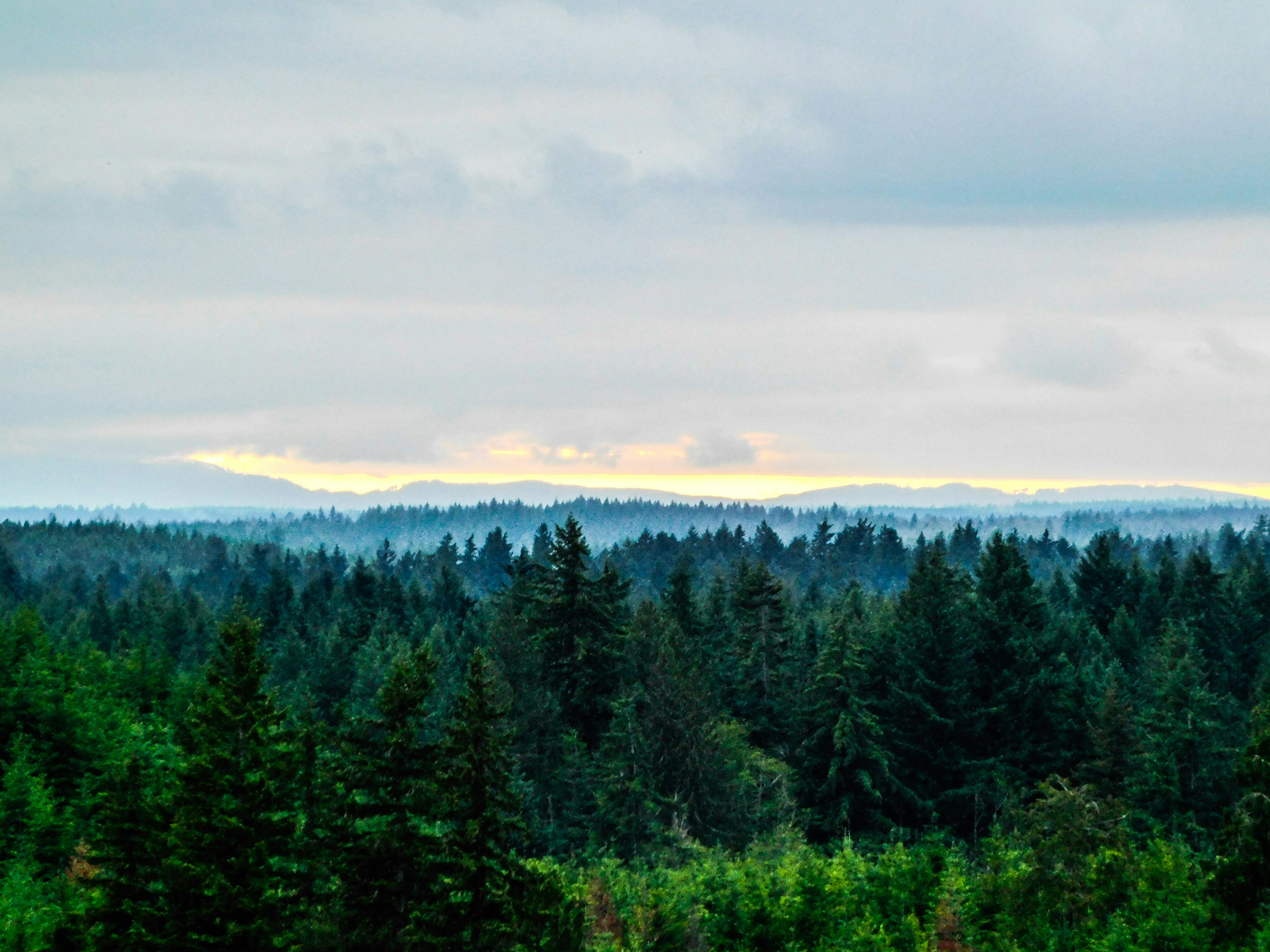 Photo by prphotography262