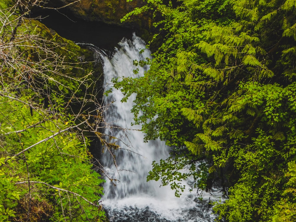 a waterfall in the middle of a forest