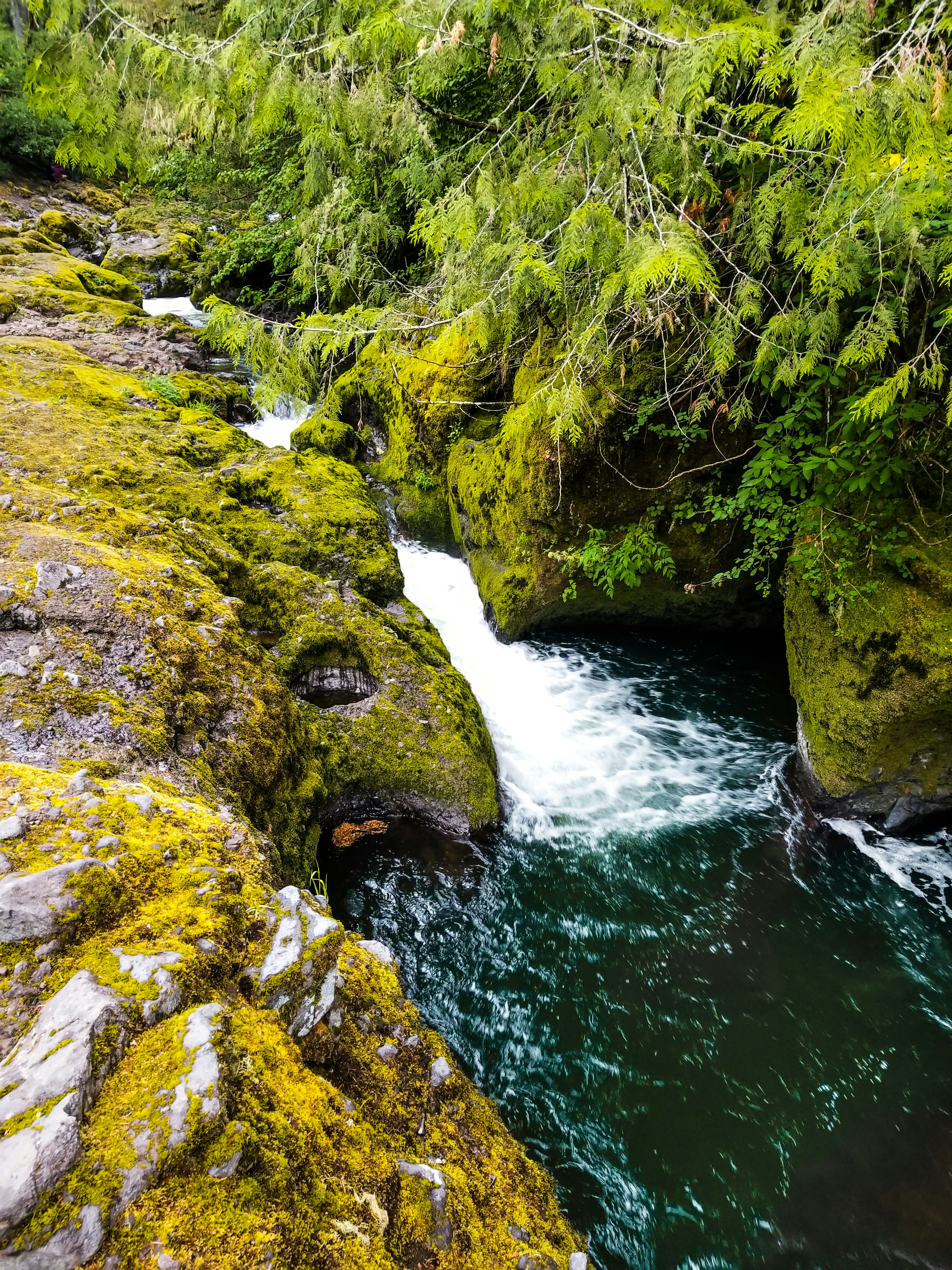 Photo by prphotography262