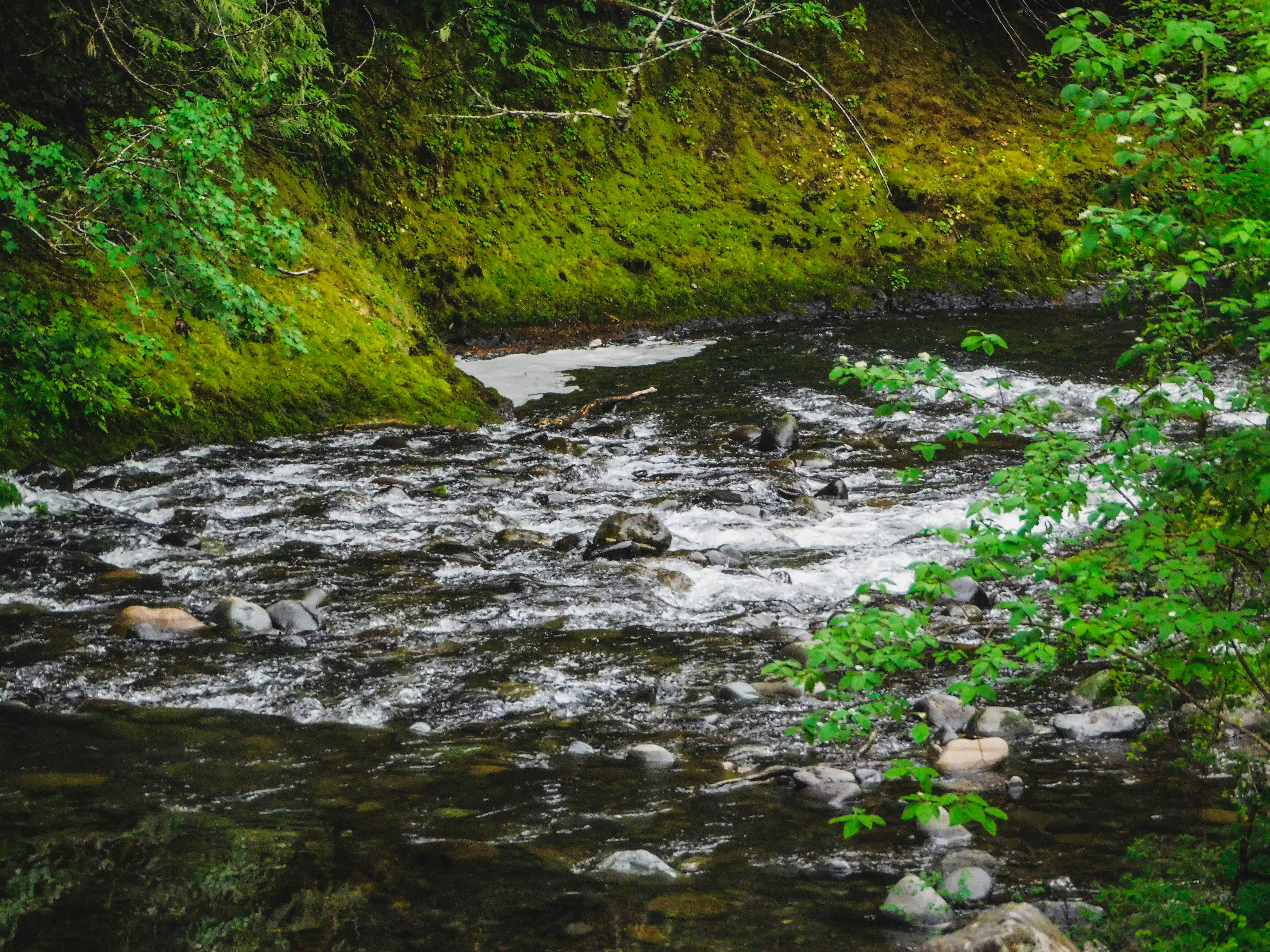 Photo by prphotography262