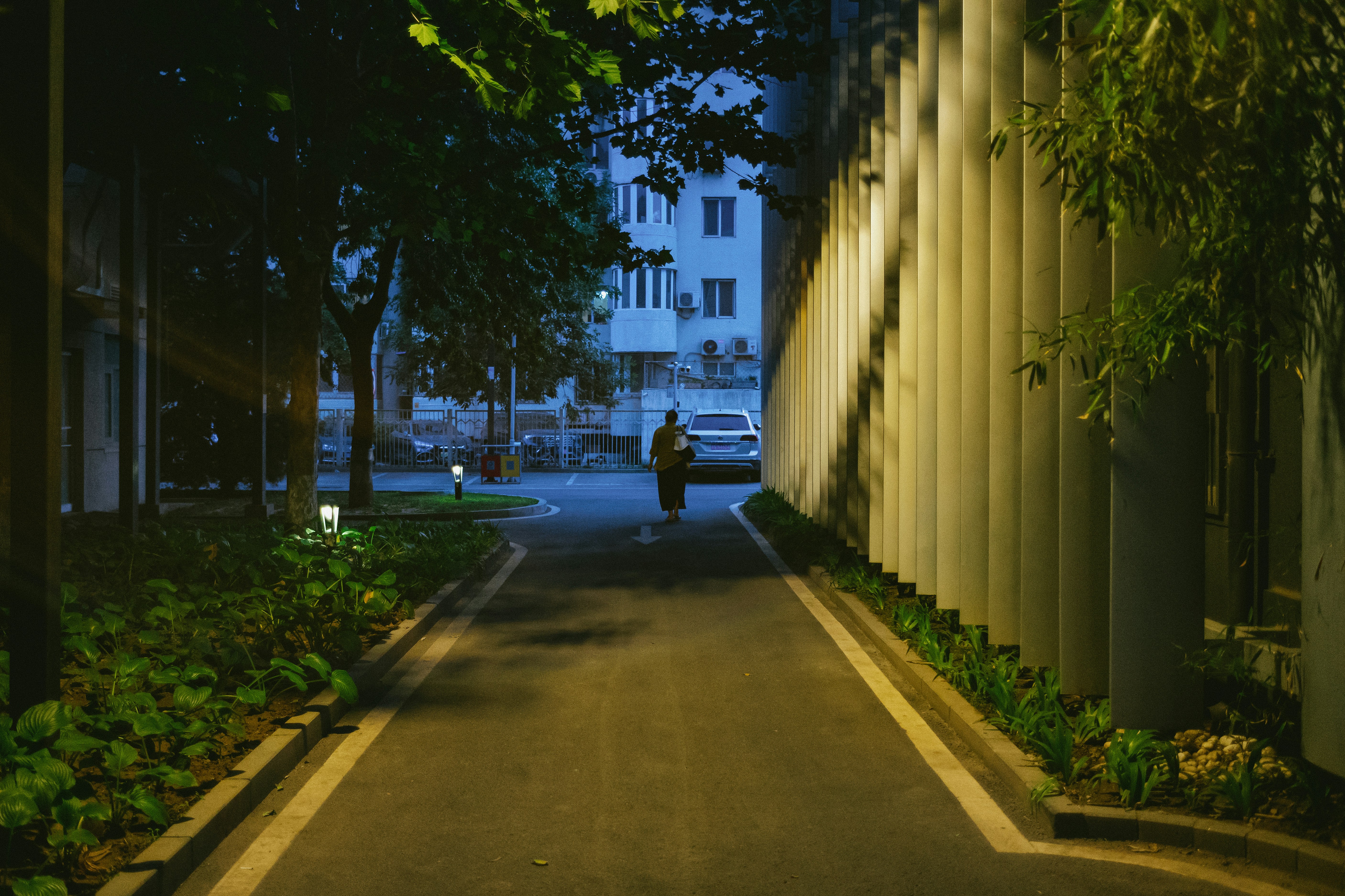 Photo by tommaomaoer
