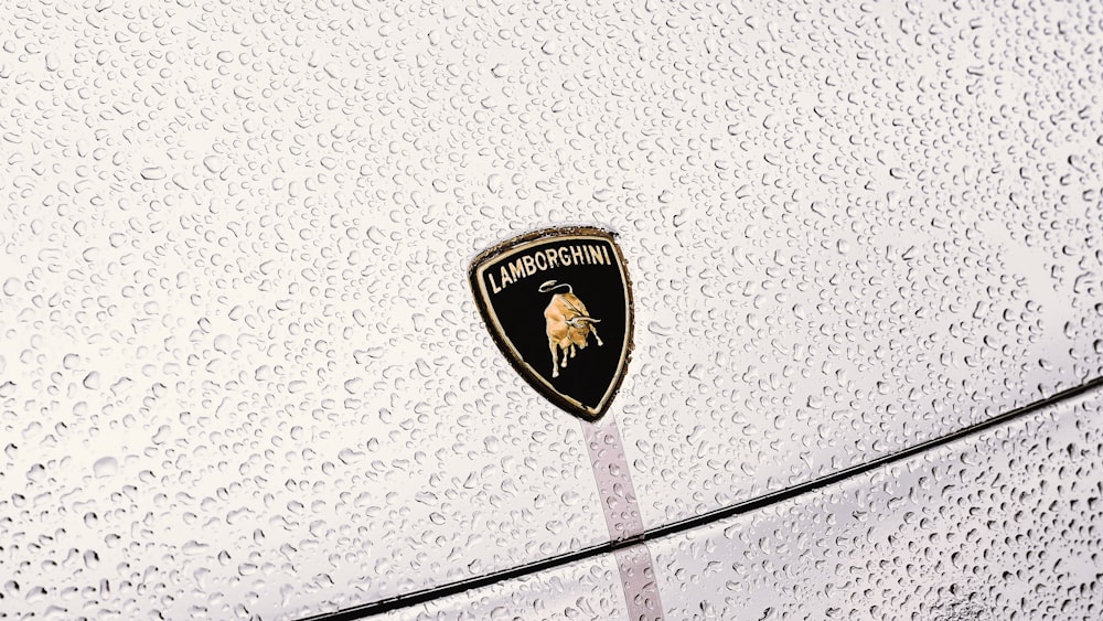 a black and gold emblem on the side of a white car