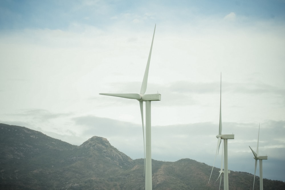 a group of windmills in a field with mountains in the background